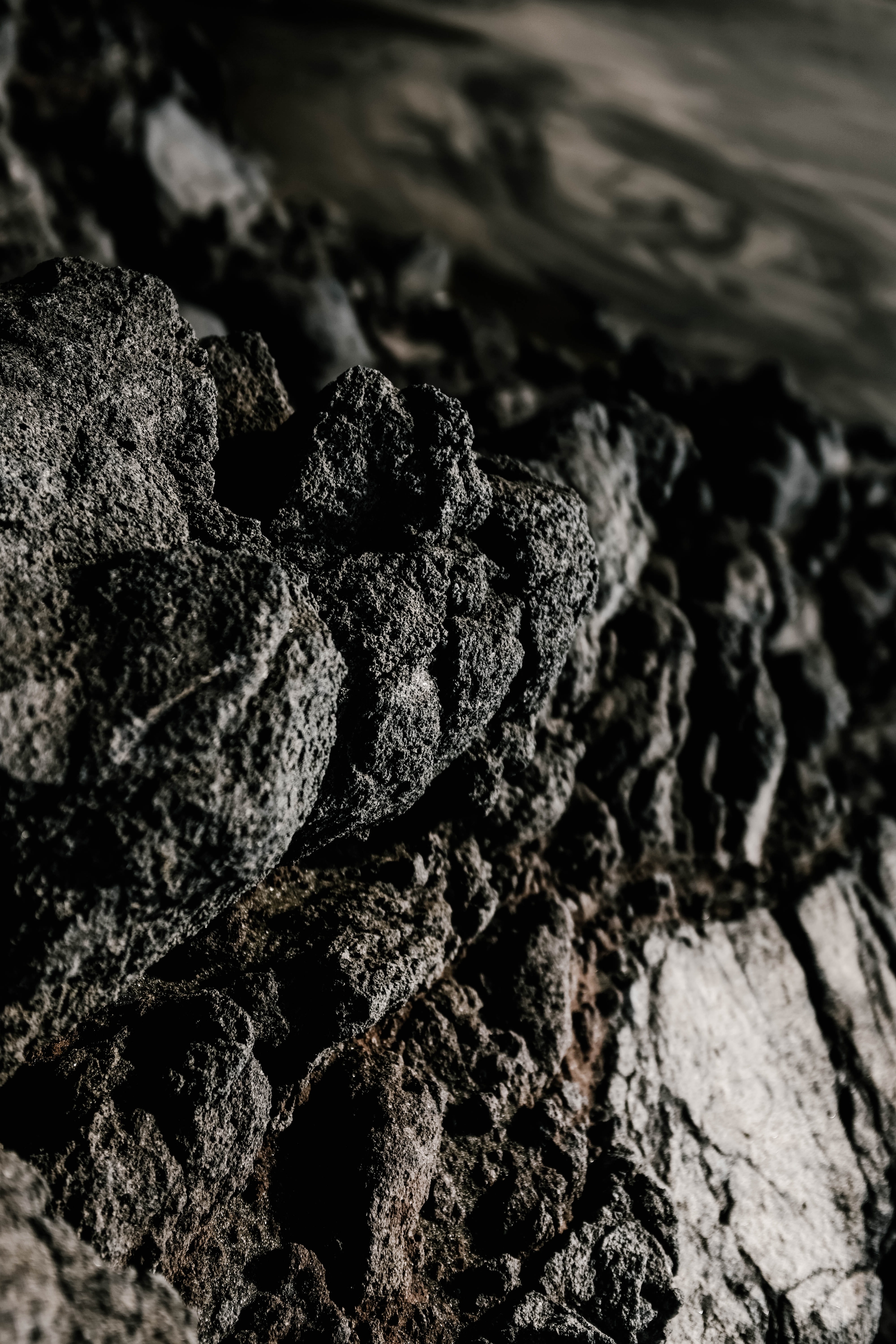sea, tree, soil, coal, growth, volcano, floral, mud, no people, rough, outdoors, tree trunk, ocean, pattern, white, black and white, dirt, close-up, texture, Phone HD Wallpaper