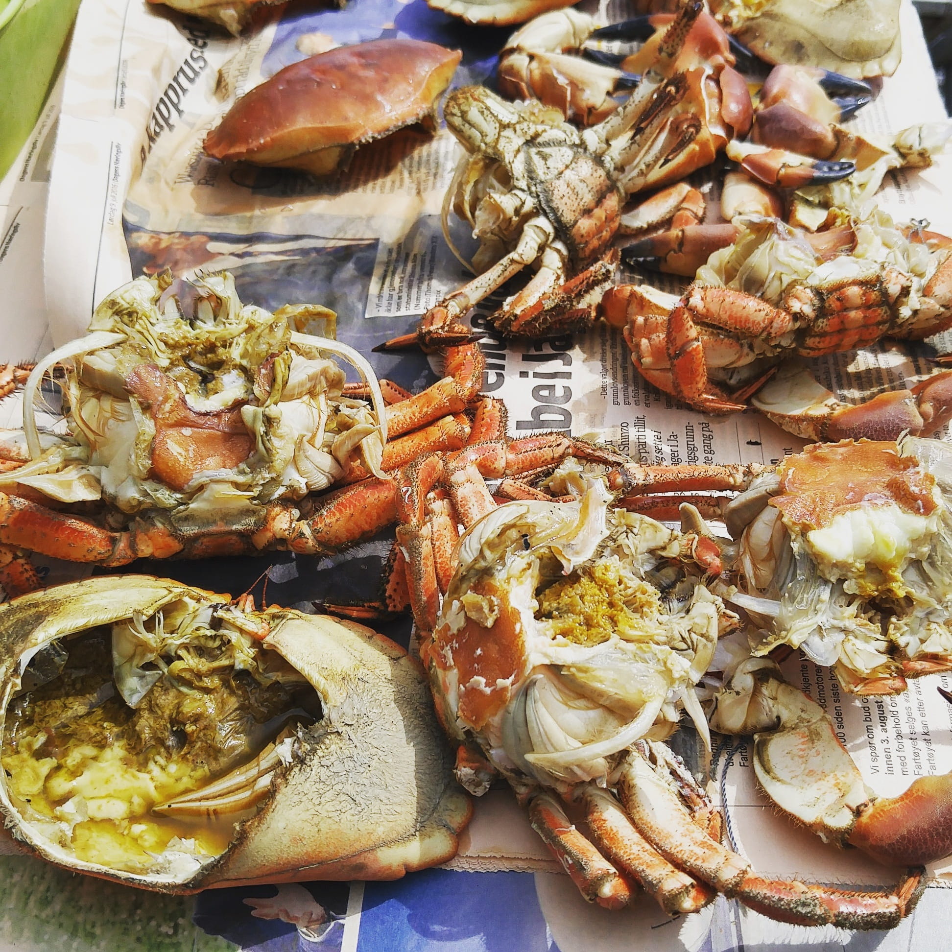 healthy eating, yummy, prawn, animal, food and drink, no people, vertebrate, 1080P, still life, large group of animals, fresh, freshness, Crab, food, claw, Phone HD Wallpaper