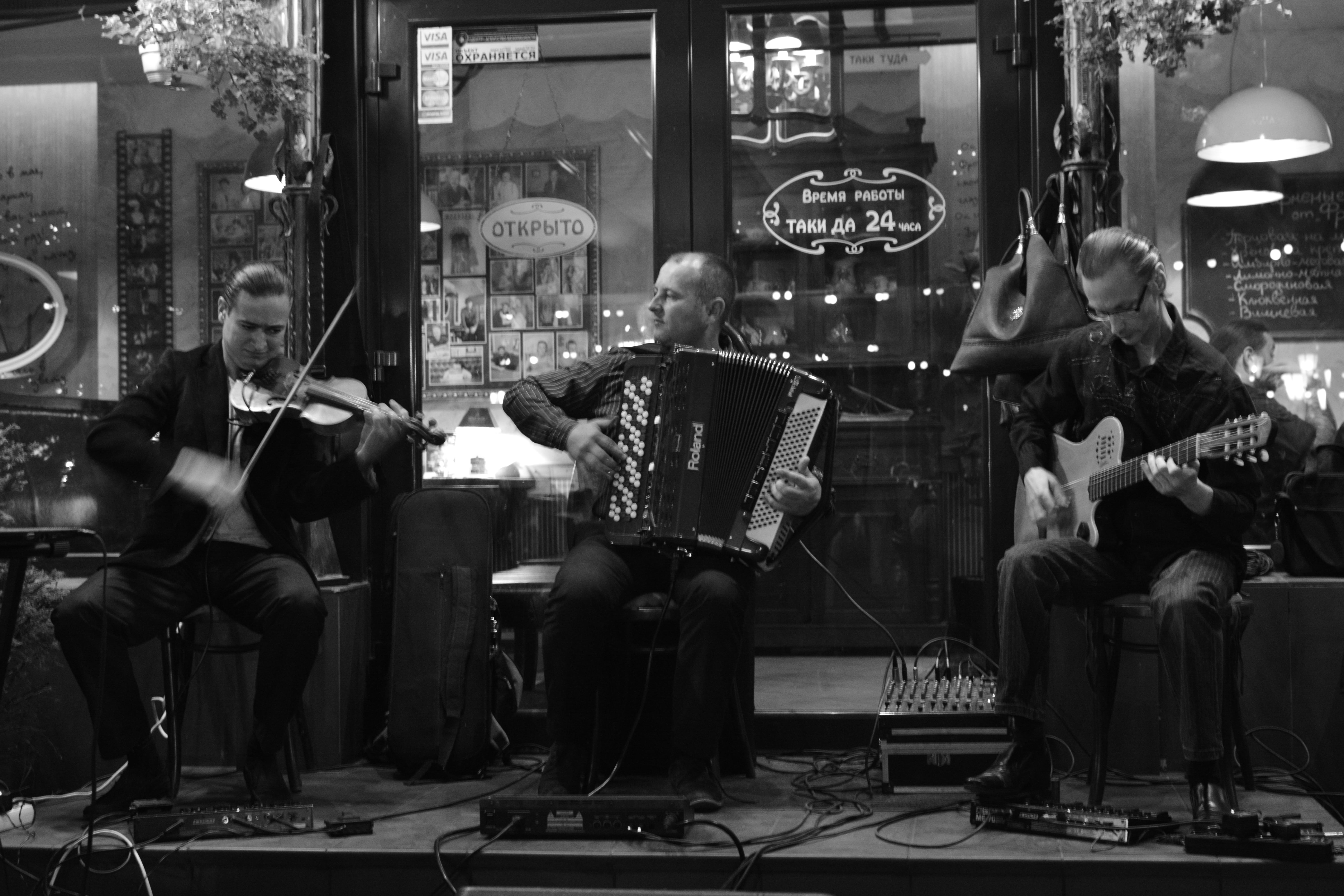 arts culture and entertainment, people, group of people, adult, sitting, crowd, musicians, musical Band, photo, accordion, musical Instrument, playing, HD Wallpaper