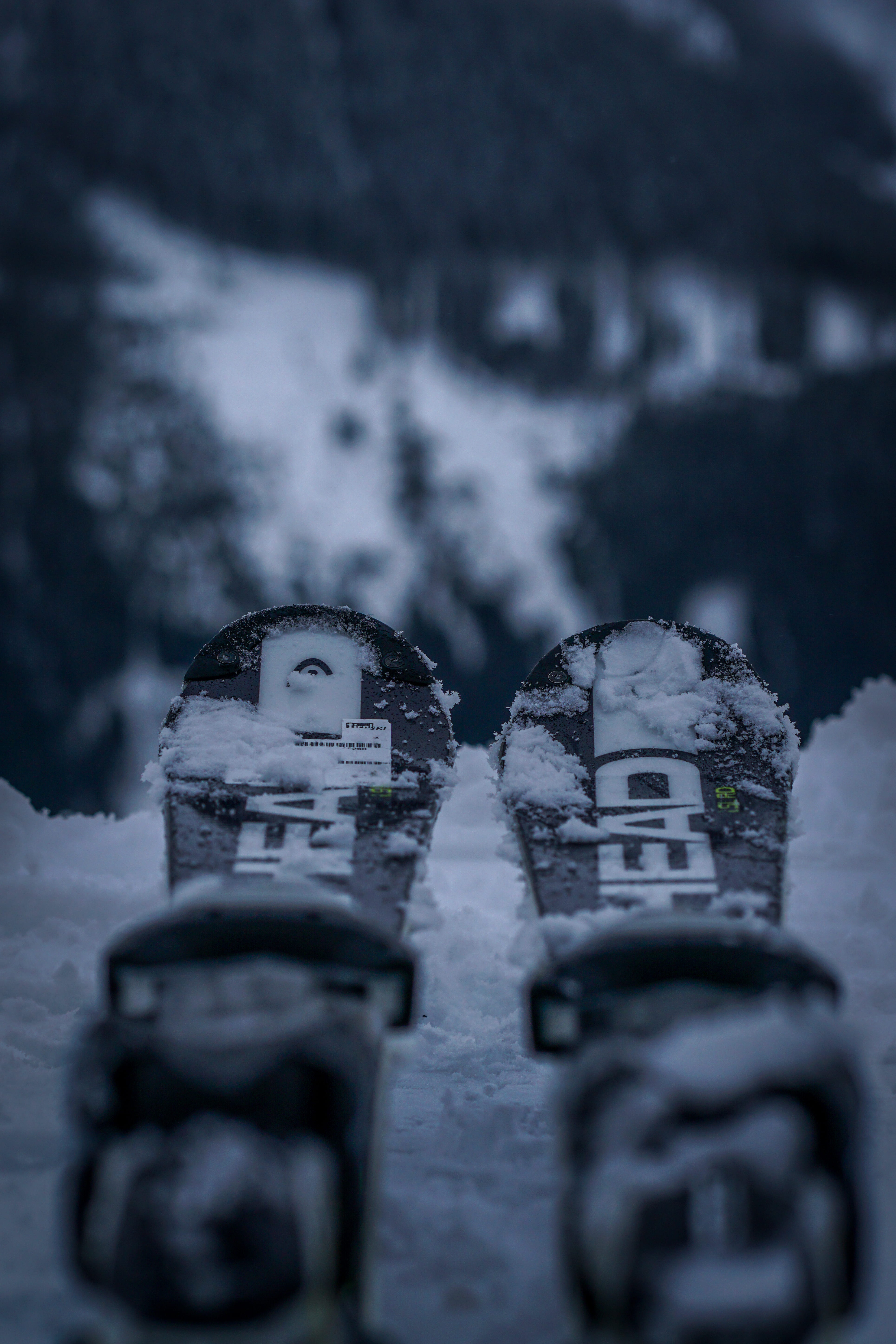 nature, photography, person, communication, dusk, photo, black, austrian alp, covering, field, sport, frozen, day, close-up, snow, winter, selective focus, Phone HD Wallpaper