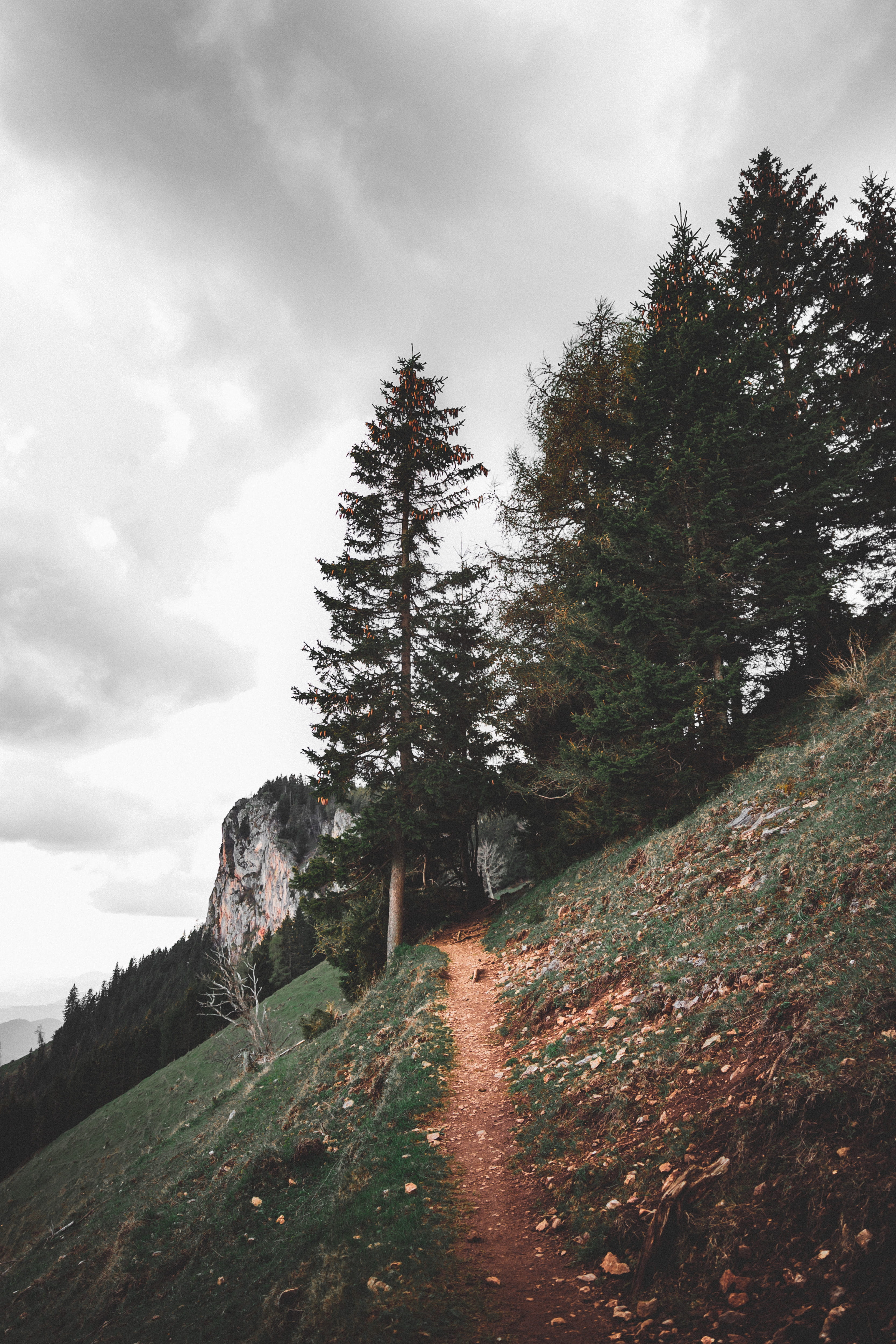 abies, road, tree, conifer, non-urban scene, growth, day, forest, slope, moody trail, land, stones, pine tree, gravel, tranquil scene, fir, cloud - sky, Phone HD Wallpaper
