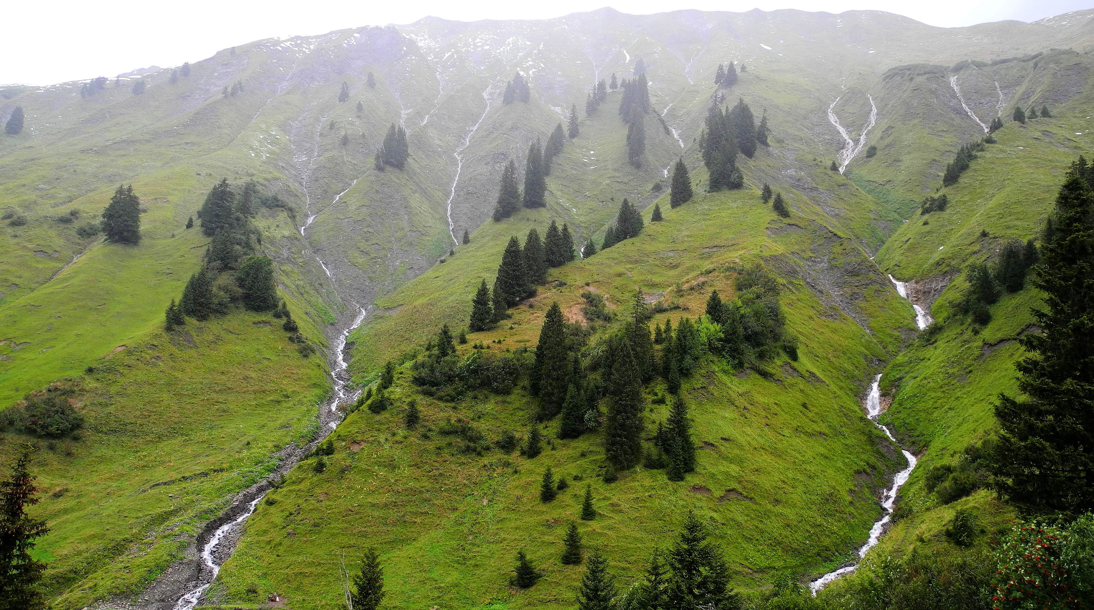 landscape, streams, mountains, 2K, austrian, alps, trees, HD Wallpaper