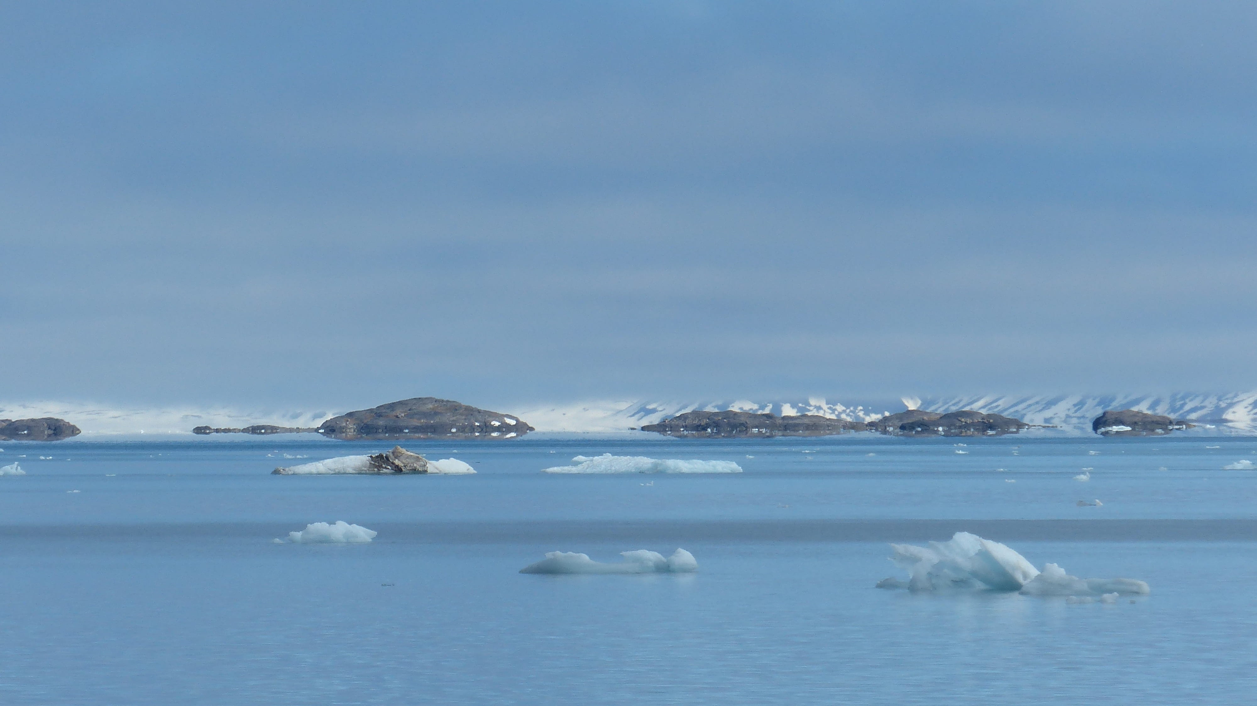 nature, sea, 4K, lagoon, sky, floating on water, frozen, scenics - nature, cold temperature, cold, Sea, day, snow, animal themes, tranquility, blue, snowfall, HD Wallpaper
