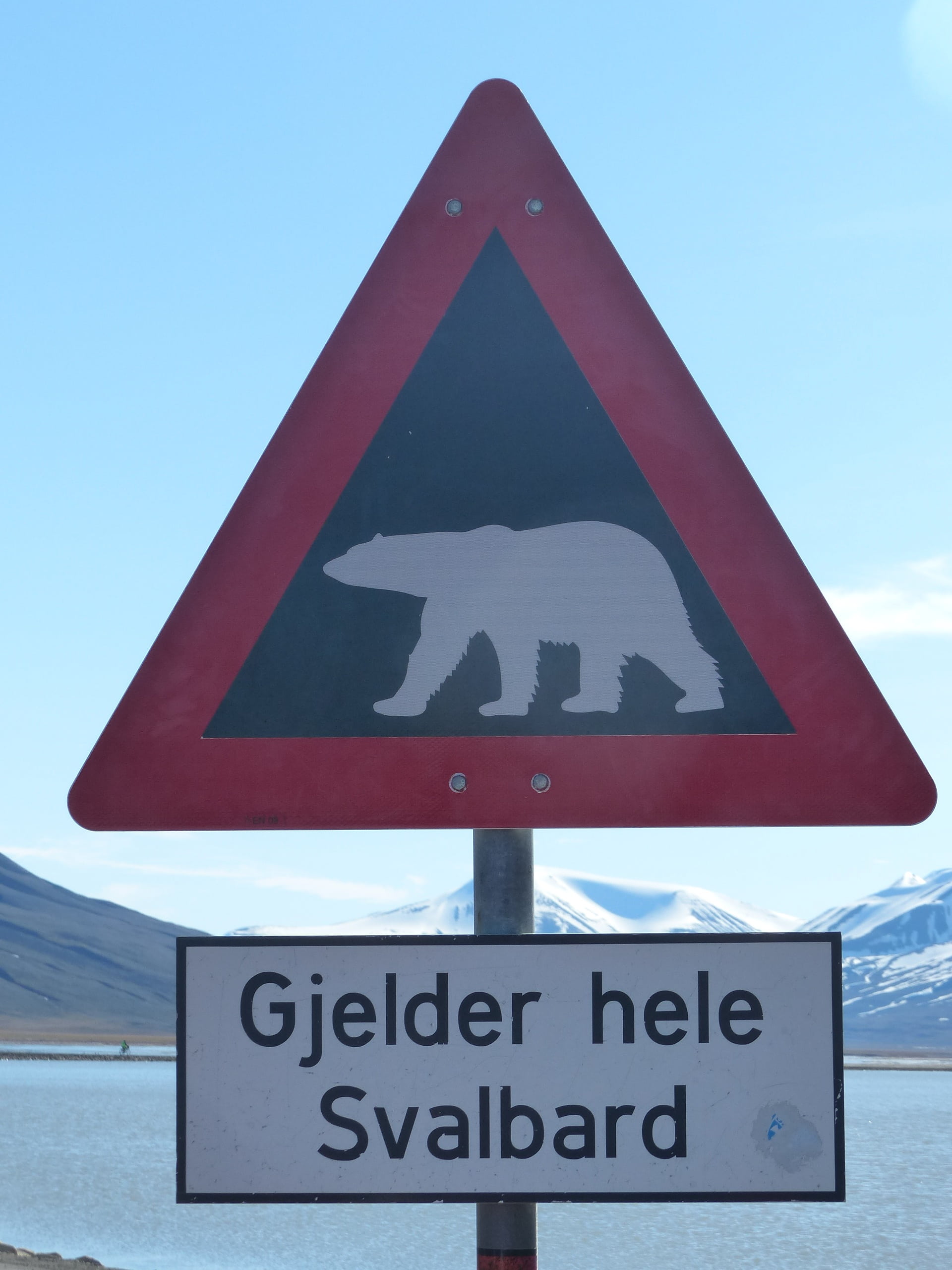 blue, text, communication, caution, outdoors, triangle shape, polar bears, western script, no people, sky, symbol, direction, nature, sign, road, arrow symbol, Phone HD Wallpaper