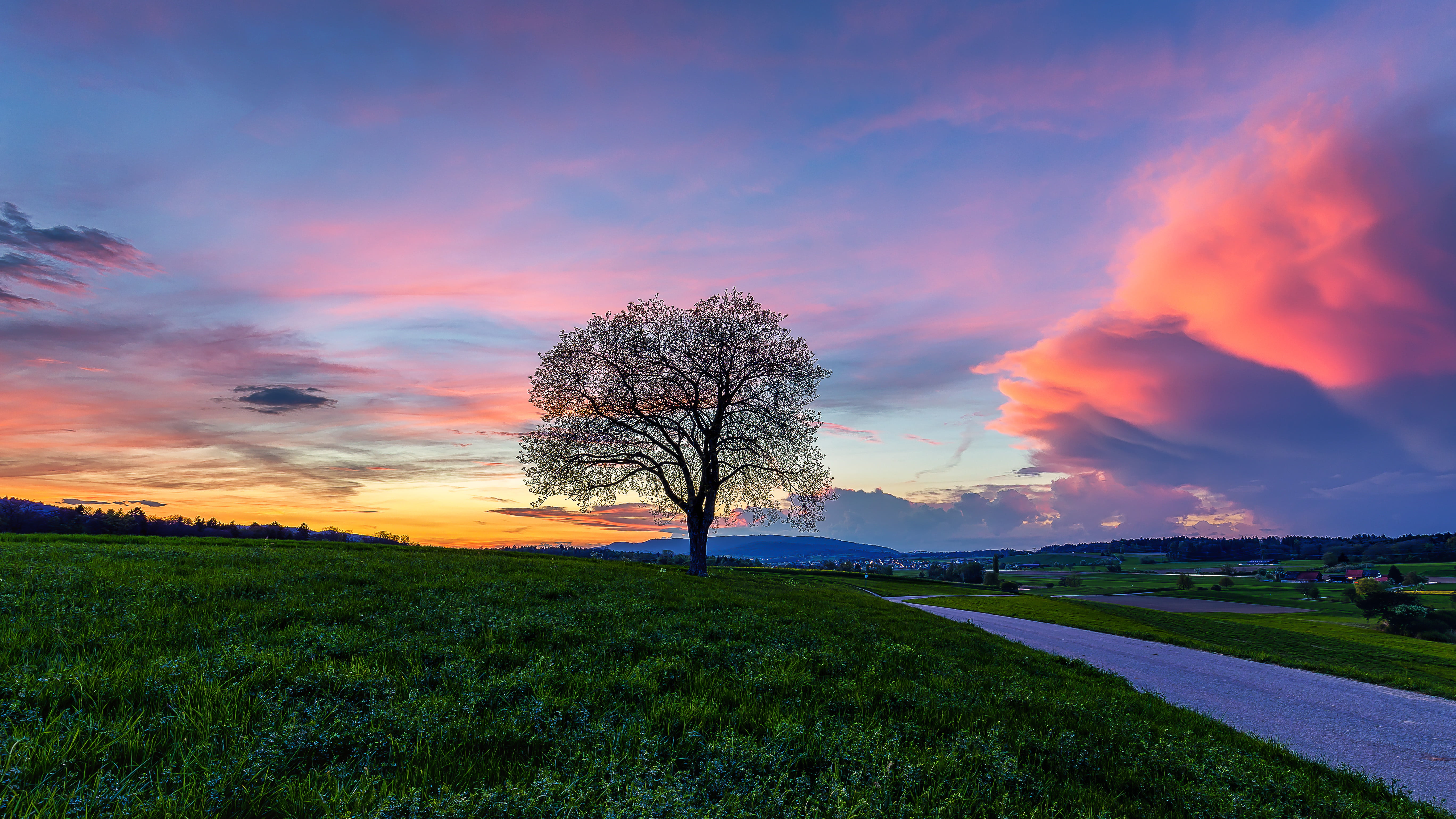Affoltern, orange and blue, blue skies, cloud - Sky, outdoors, Dusk, nature, skies, tree  spring, Zurich, blue, orange, blue hour, commons, Sunset, 5K, HD Wallpaper