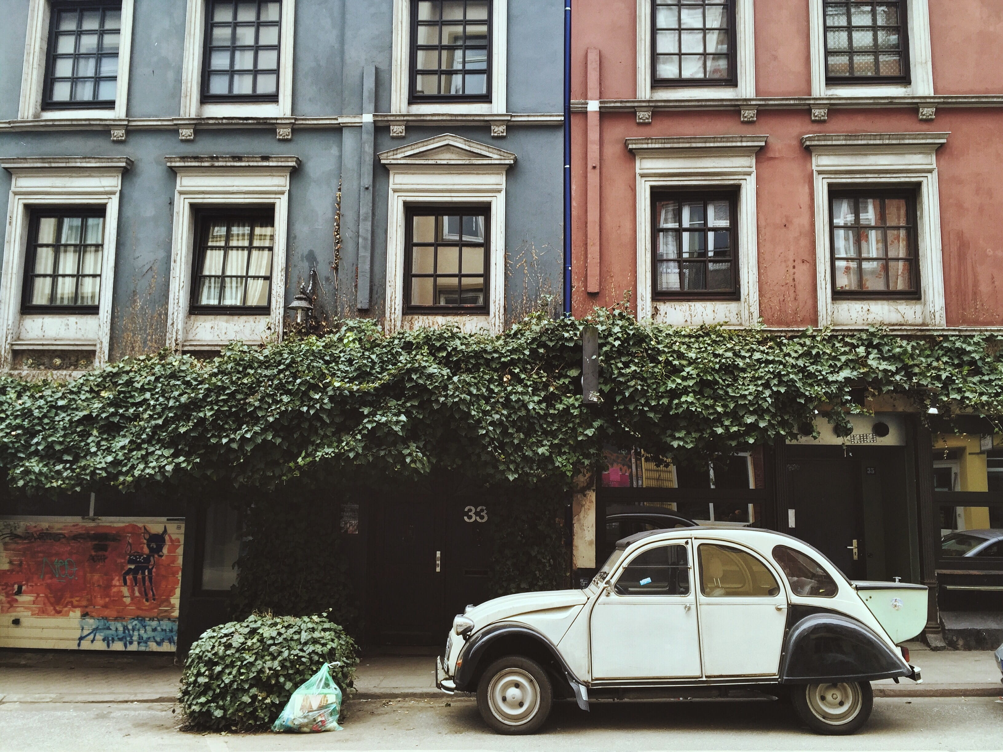 outdoors, ivy, architecture, residential district, day, plant, automobile, motor vehicle, structure, potted plant, vine, urban, growth, parked, vase, built structure, HD Wallpaper
