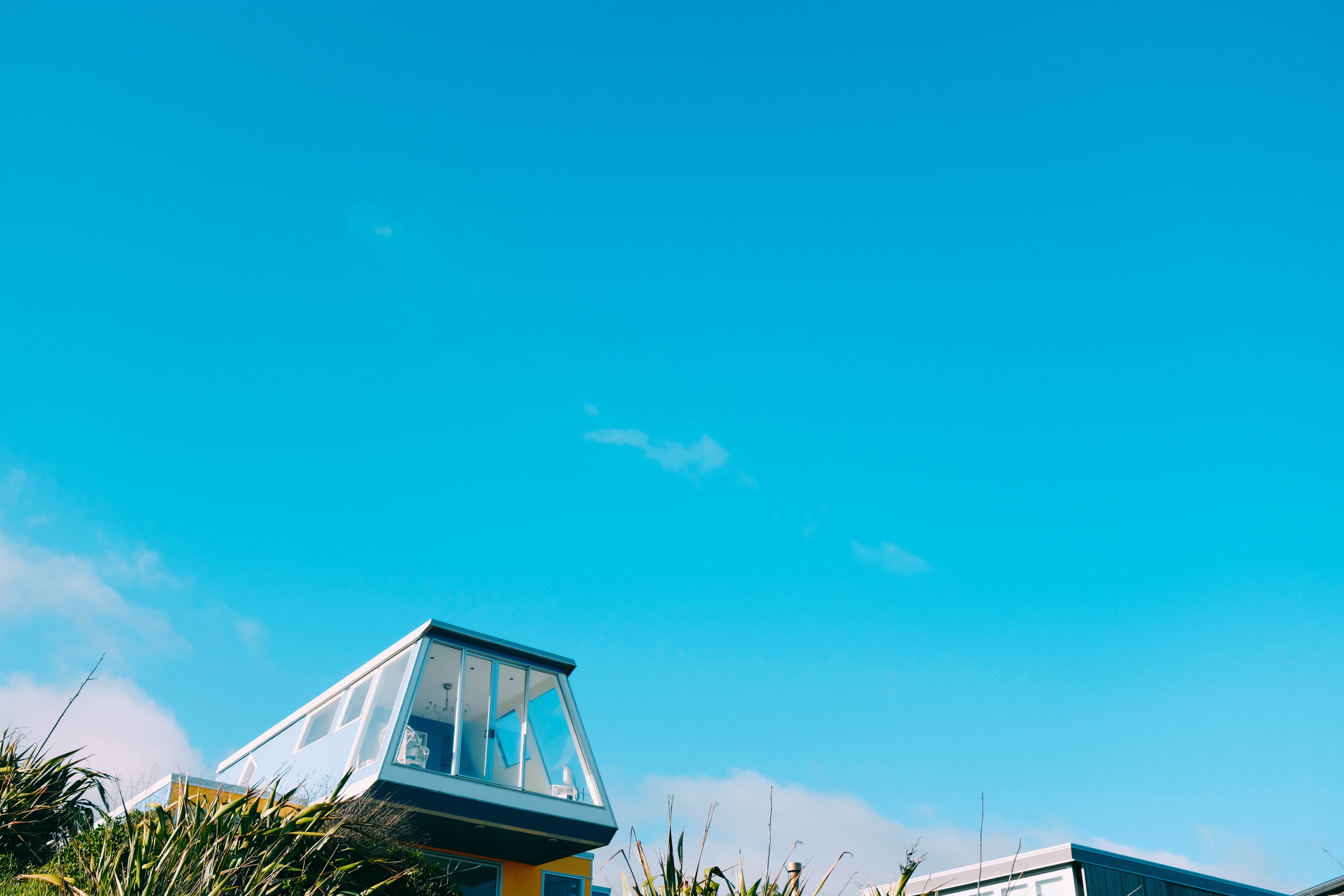 plant, grass, outdoors, white, vegetation, beauty in nature, potted plant, water, mode of transportation, urban, sunlight, house, built structure, concrete, HD Wallpaper