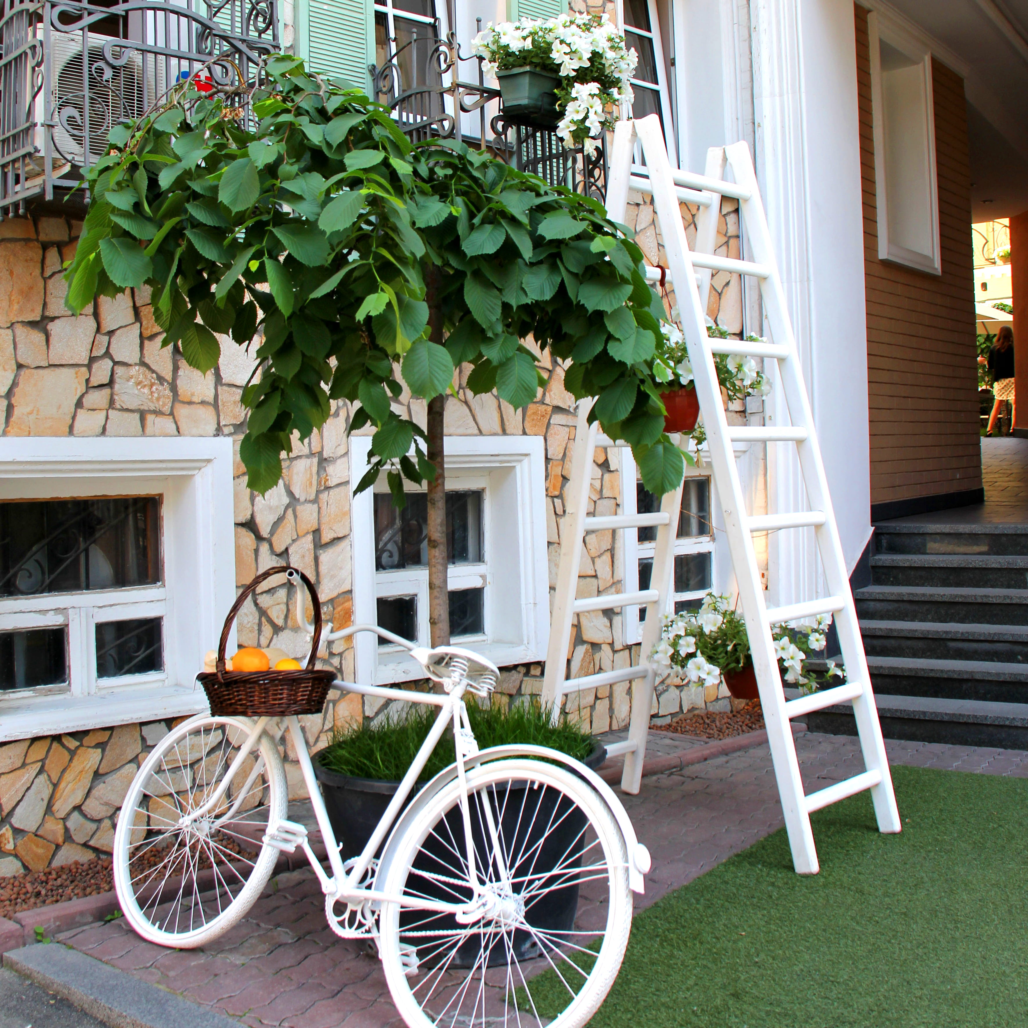 wood, pavement, plants, bike, door, luxury, leaning, garden, bicycle, built structure, plant, stationary, stairs, beside, tree, nature, building, ladder, Phone HD Wallpaper