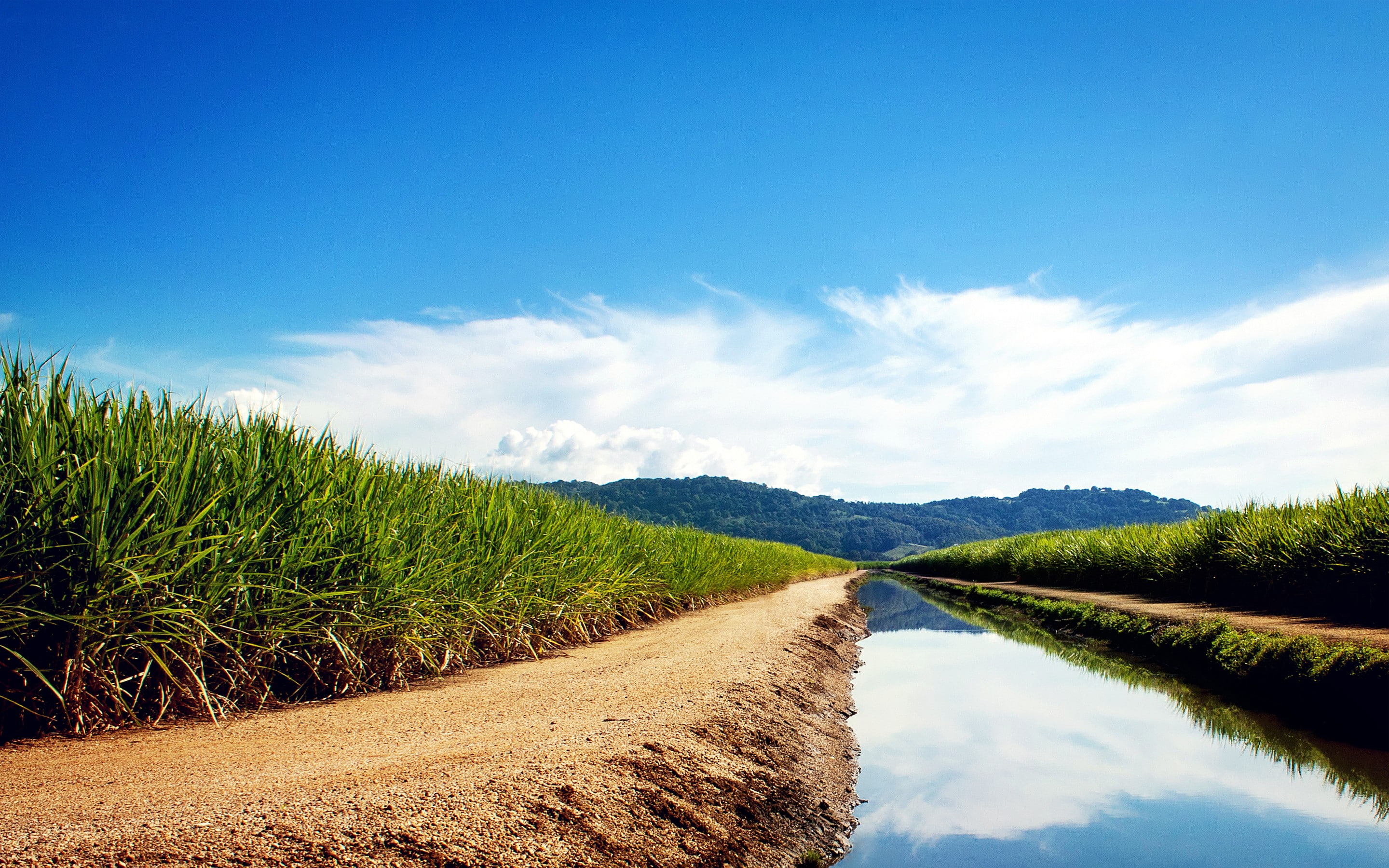field, landscape, water, 2K, sky, canal, plants, nature, grass, HD Wallpaper