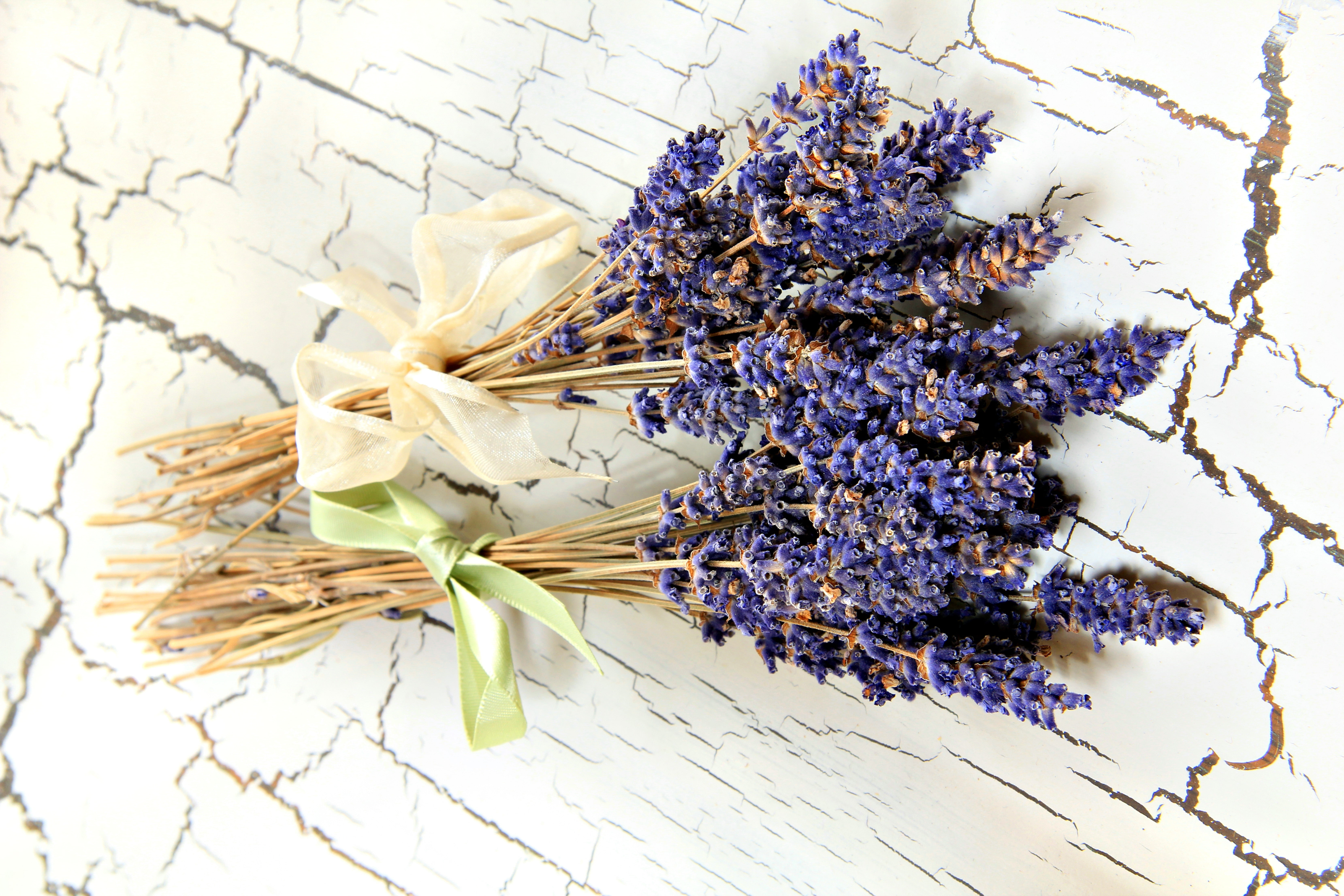 branch, blossom, bouquet, backgrounds, aromatherapy, wood - Material, no People, bunch, close-up, freshness, herbal Medicine, petal, flower Head, still life, HD Wallpaper