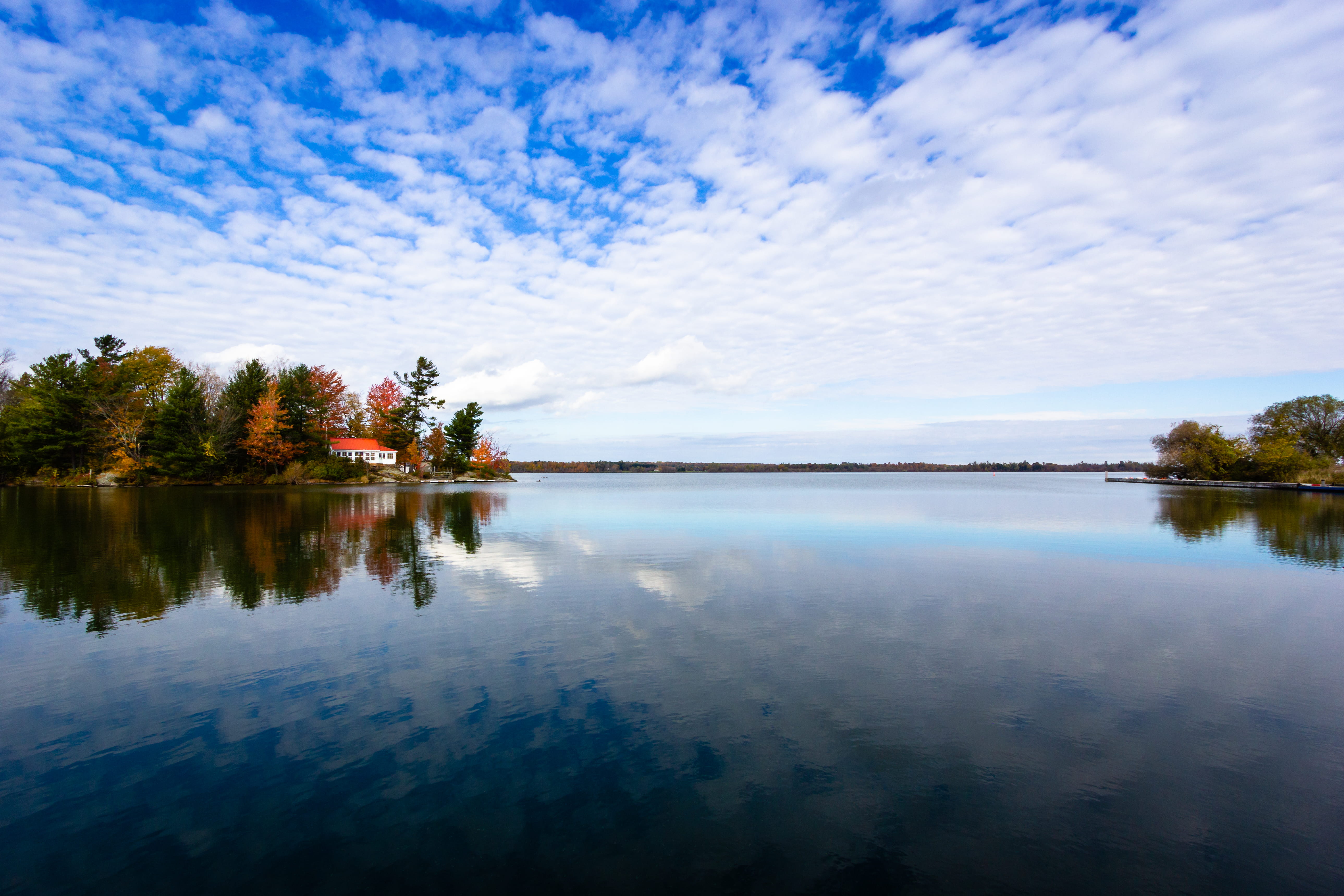 plant, reflection lake, cloud - sky, day, scenics - nature, beauty in nature, water, idyllic, tranquil scene, no people, waterfront, sky, reflection, nature, HD Wallpaper
