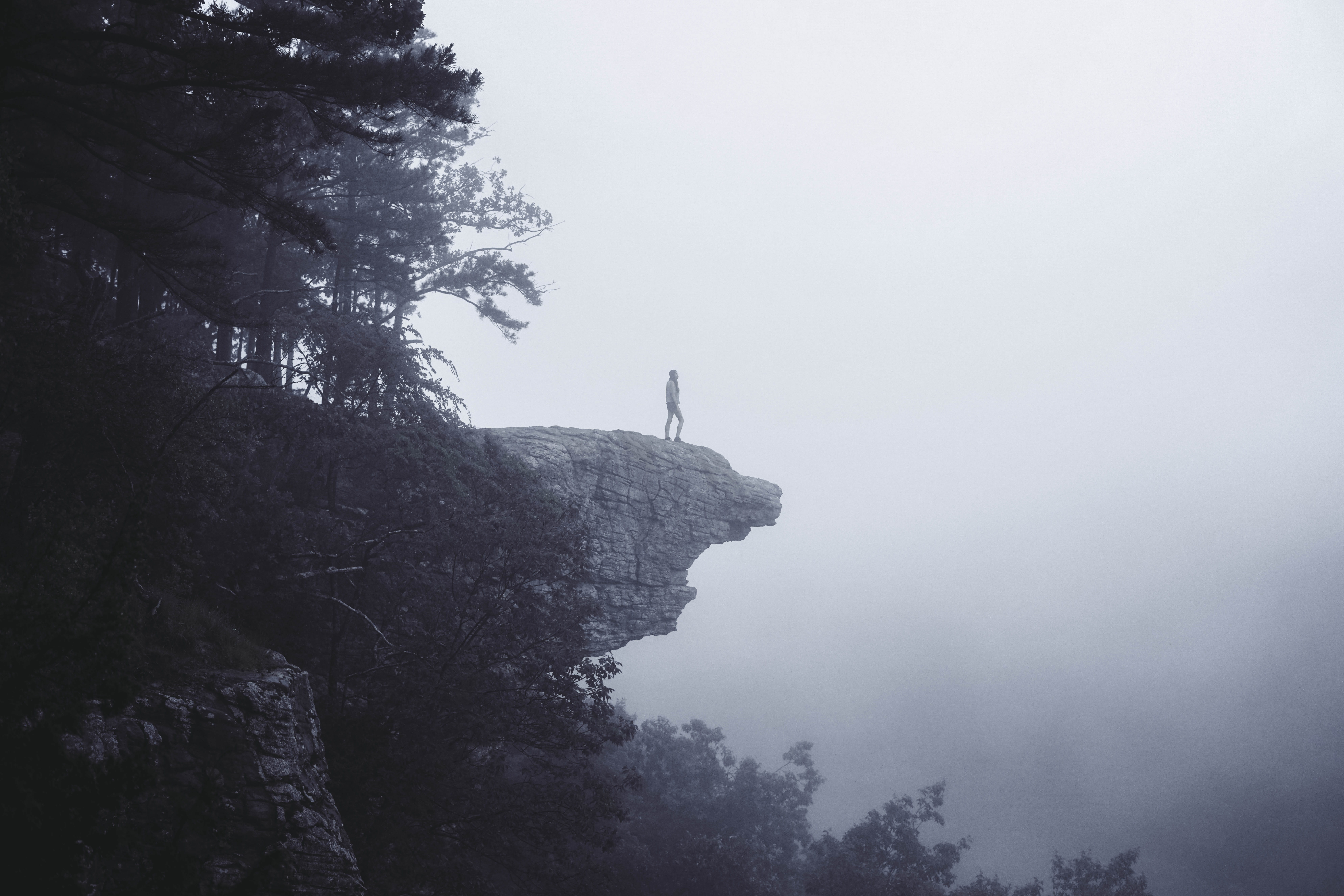 rock - object, whitaker point trail, tranquil scene, beauty in nature, 8K, early, hiking, day, at the edge of, lifestyles, mountain, tree, rock formation, HD Wallpaper