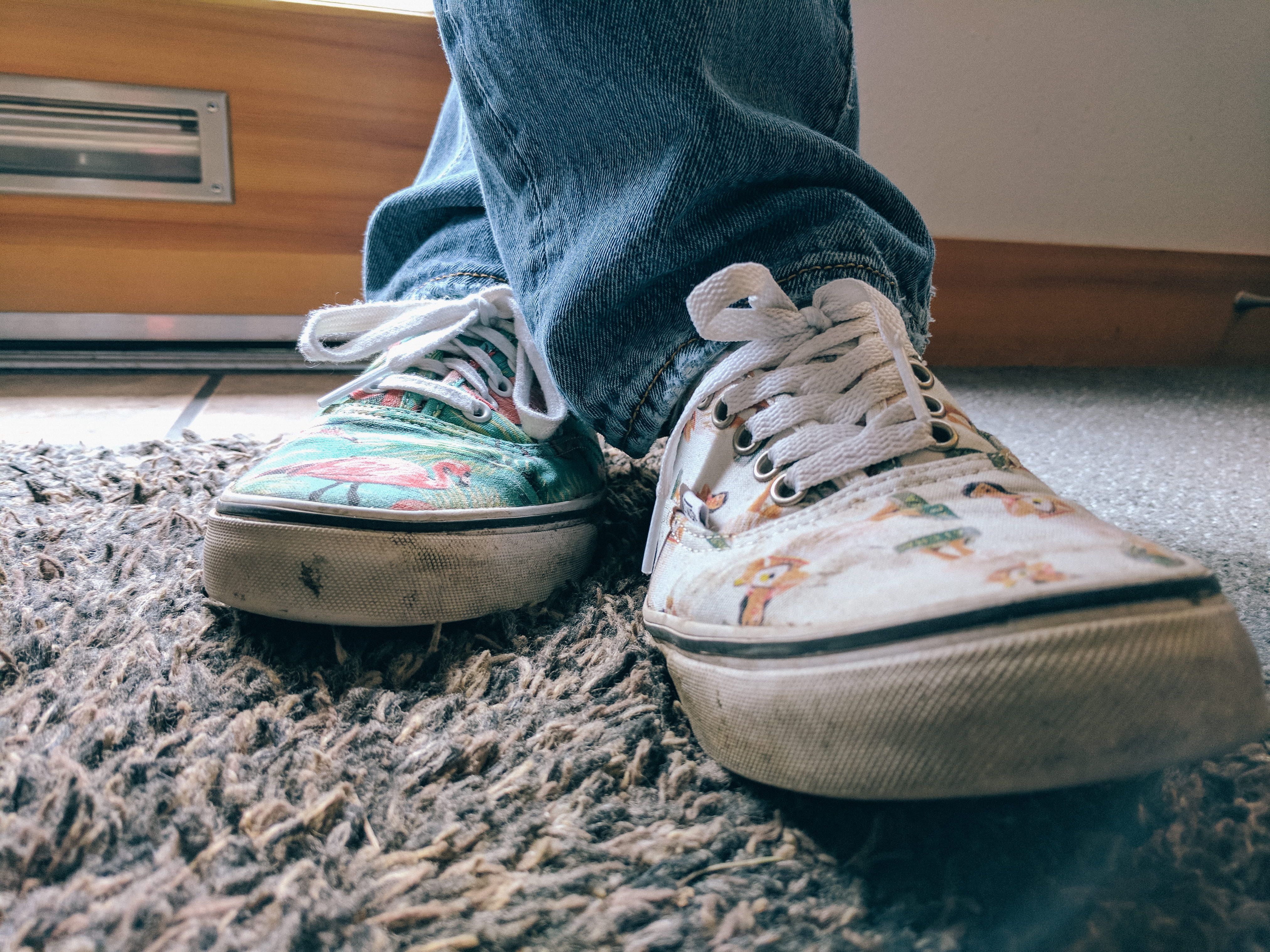 flamingo, sock, day, one person, casual clothing, united states, jeans, lifestyles, teddy bear, body part, shoes, shoe laces, human leg, human limb, 4K, HD Wallpaper