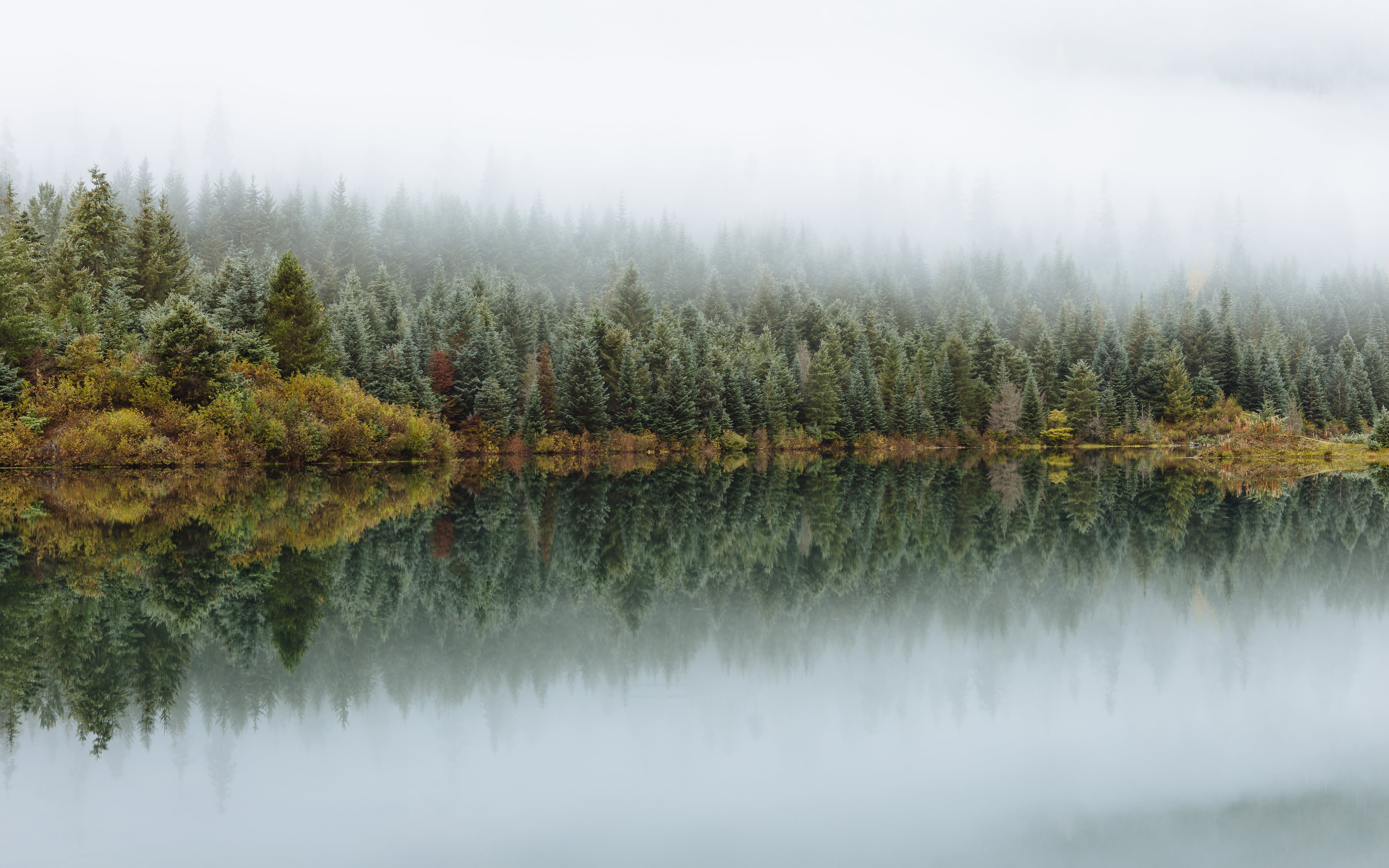 nature, woodland, trees, 70mm, scenics, washington, beside, lake, forest, f/2, Gold Creek, landscape, calm, 5K, water, autumn, Canon EOS 5D Mark III, True, HD Wallpaper