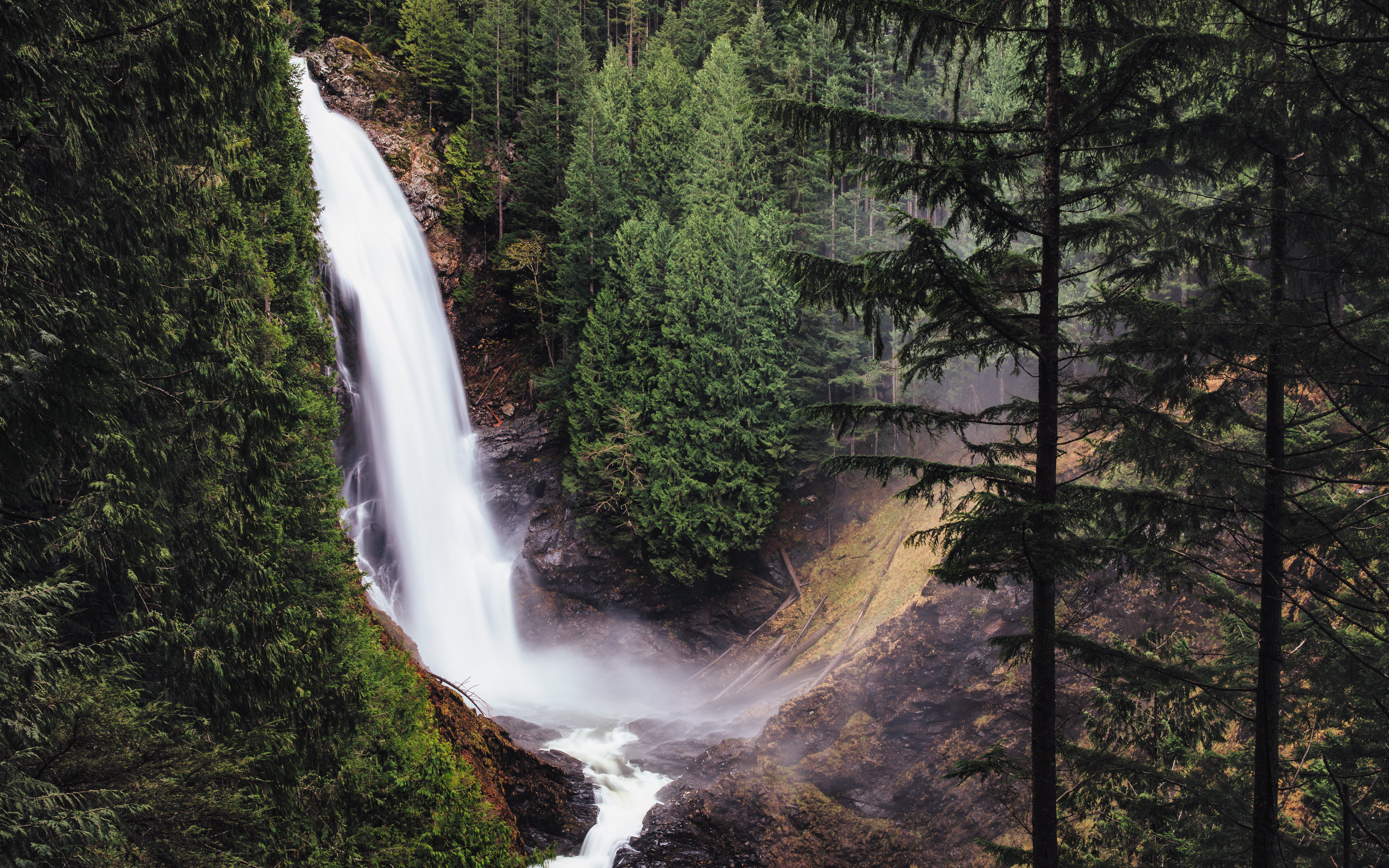 landscape, scenics, water, pine, leaved, View, daytime, USM, green, washington, trees, river, Canon EOS 5D Mark III, mountain, Pacific Northwest, westrock, HD Wallpaper