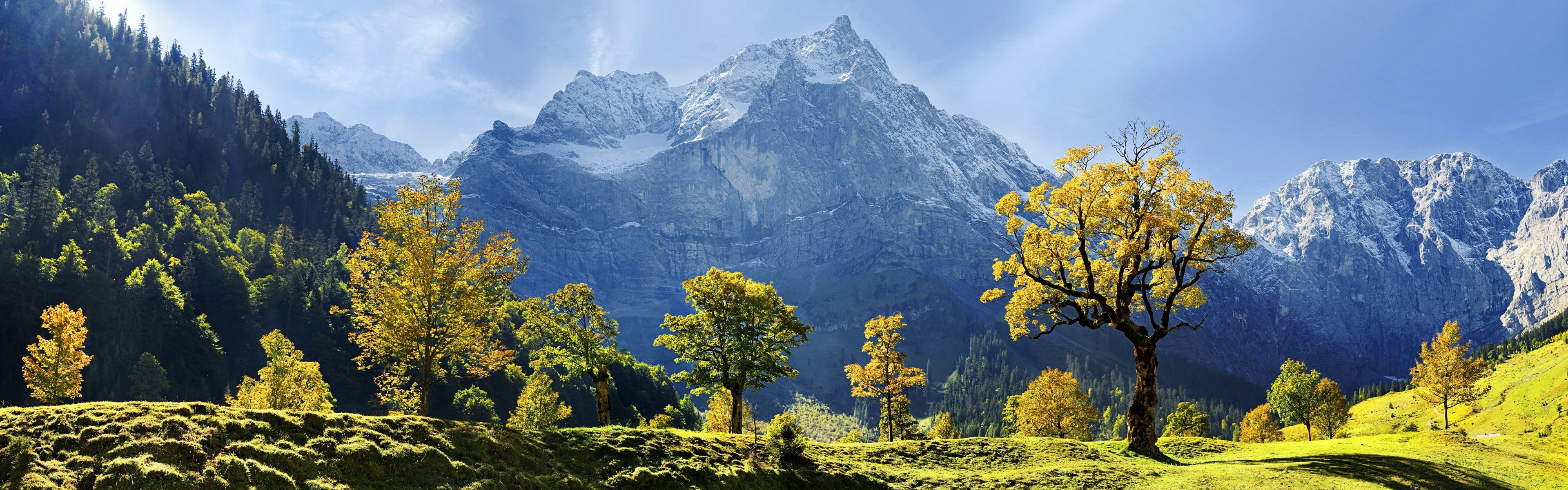 Covered, leaf, Austria, Karwendel, Mountains, Maple, Autumn, Snow, 4K, Trees, green, HD Wallpaper