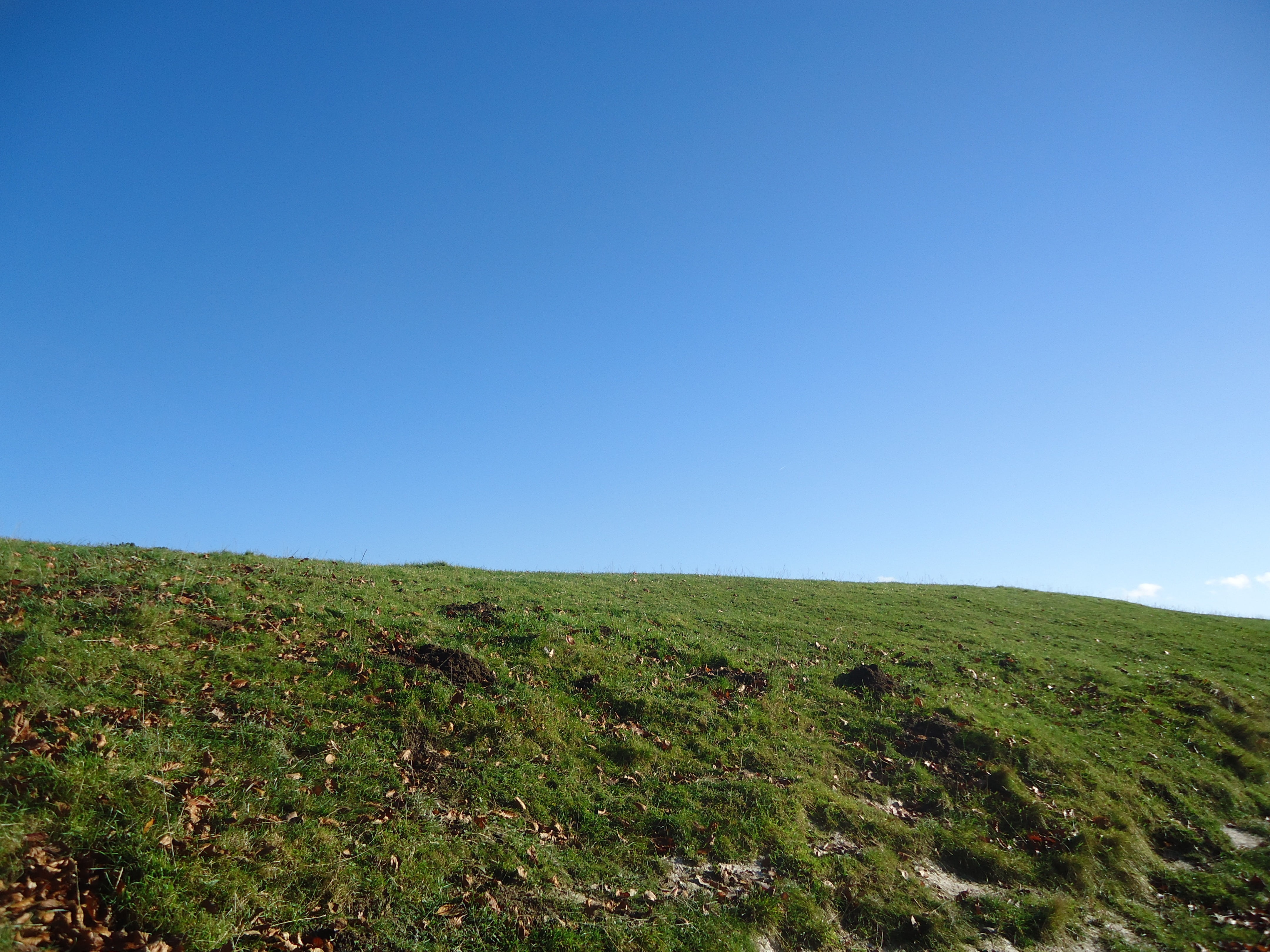 summit, grass, green, non-urban scene, landscape, blue, plant, horizon, top, scenics - nature, 4K, england, avebury, meadow, land, copy space, tranquil scene, HD Wallpaper