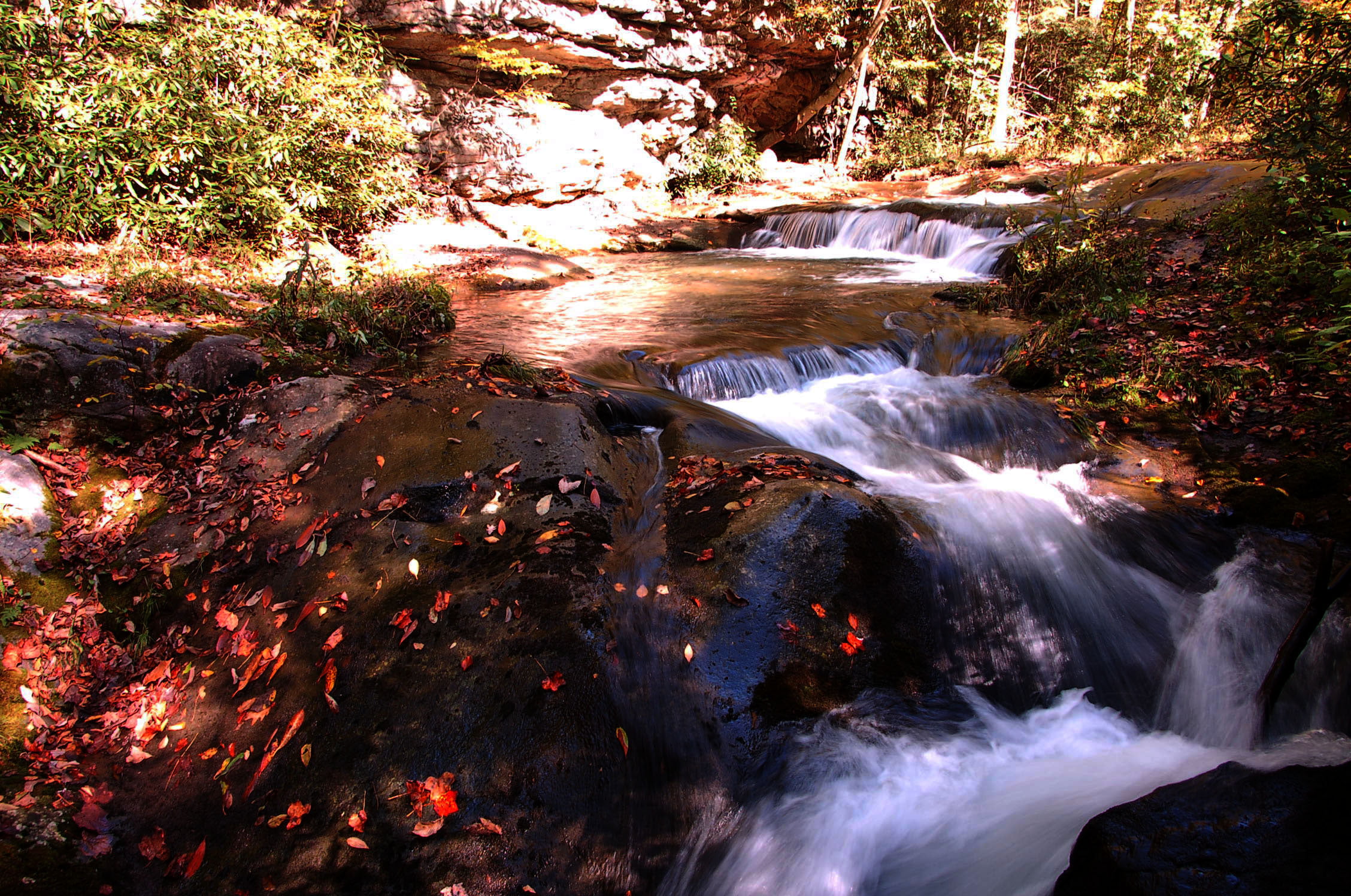 waterfall, outdoors, Fallingwater, stream, water, 1080P, beauty In Nature, falling, scenics, forest, landscape, Pittsburgh, freshness, autumn, nature, HD Wallpaper