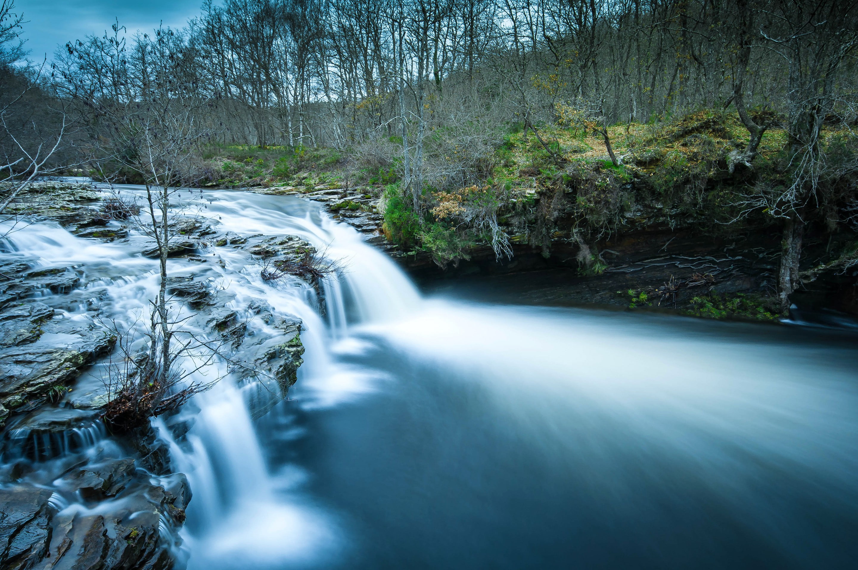 2K, forest, rapids, stream, trees, river, rocks, HD Wallpaper