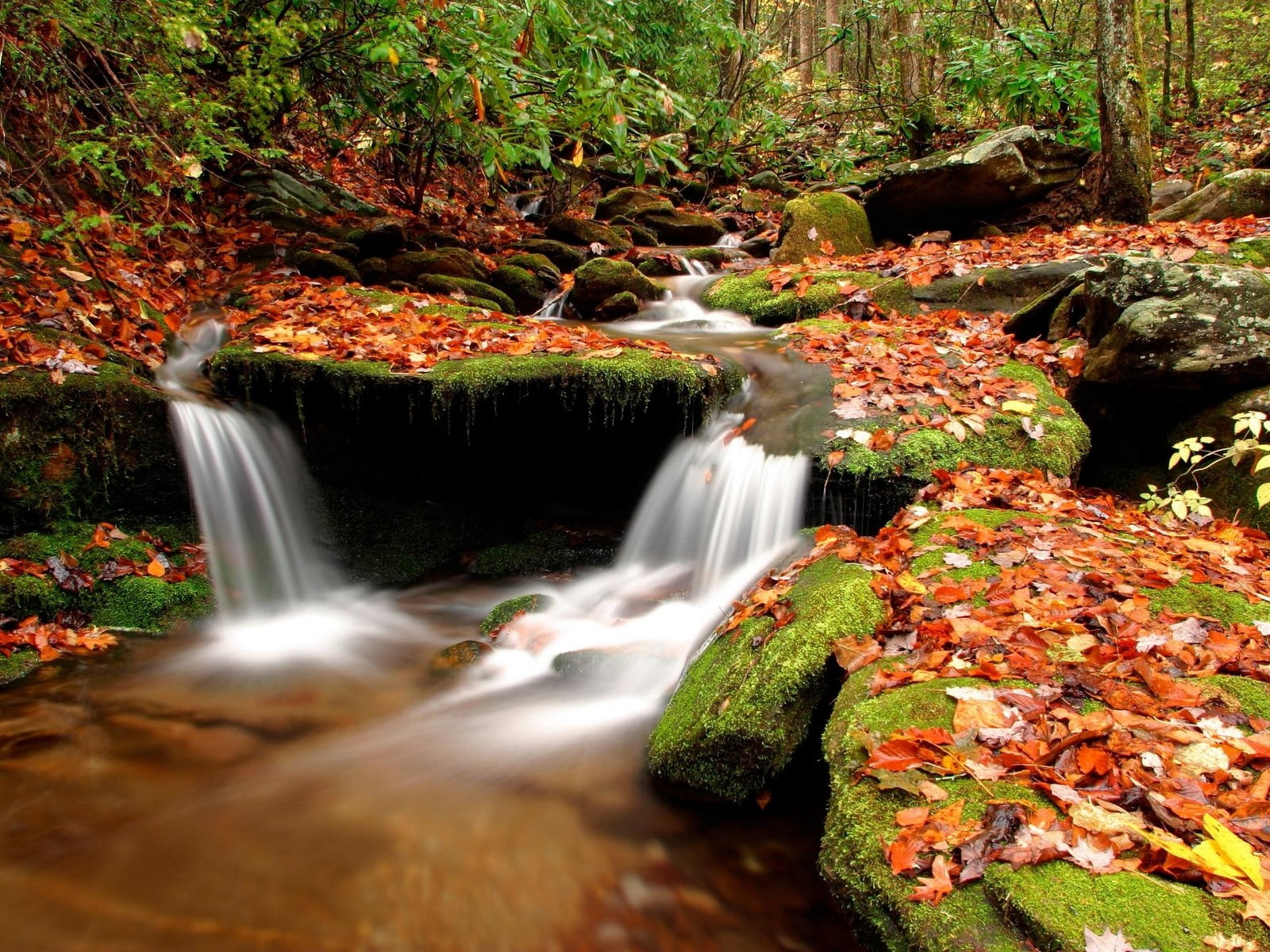 power in nature, wet, falling water, uncultivated, timelapse, summer, land, moss, tranquil Scene, lush Foliage, river, scenics, tree, outdoors, autumn, HD Wallpaper