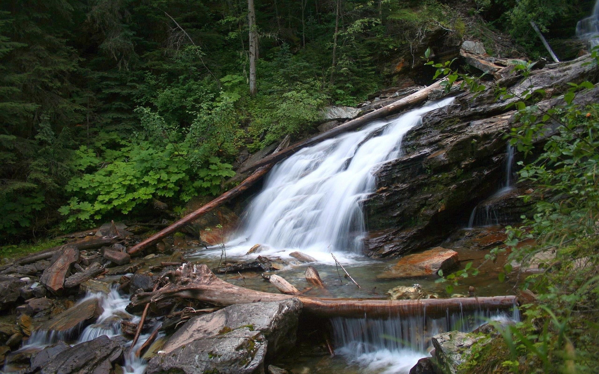 plant, landscape, trees, river, 1920x1200, 1080P, green, rapids, rock, nature, HD Wallpaper