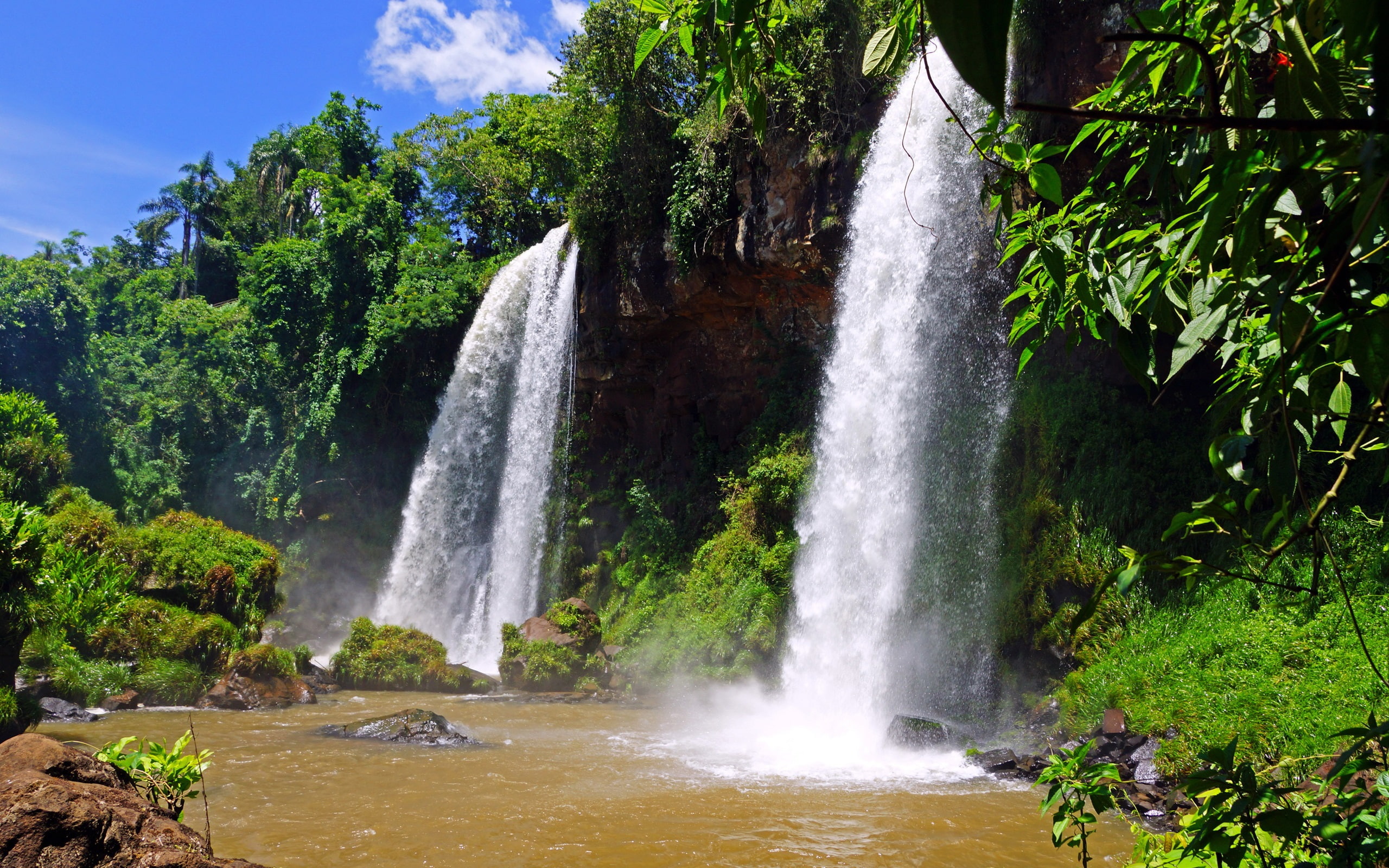 Nature, Trees, Argentina, Rocks, Iguazu, Water, 2K, HD Wallpaper