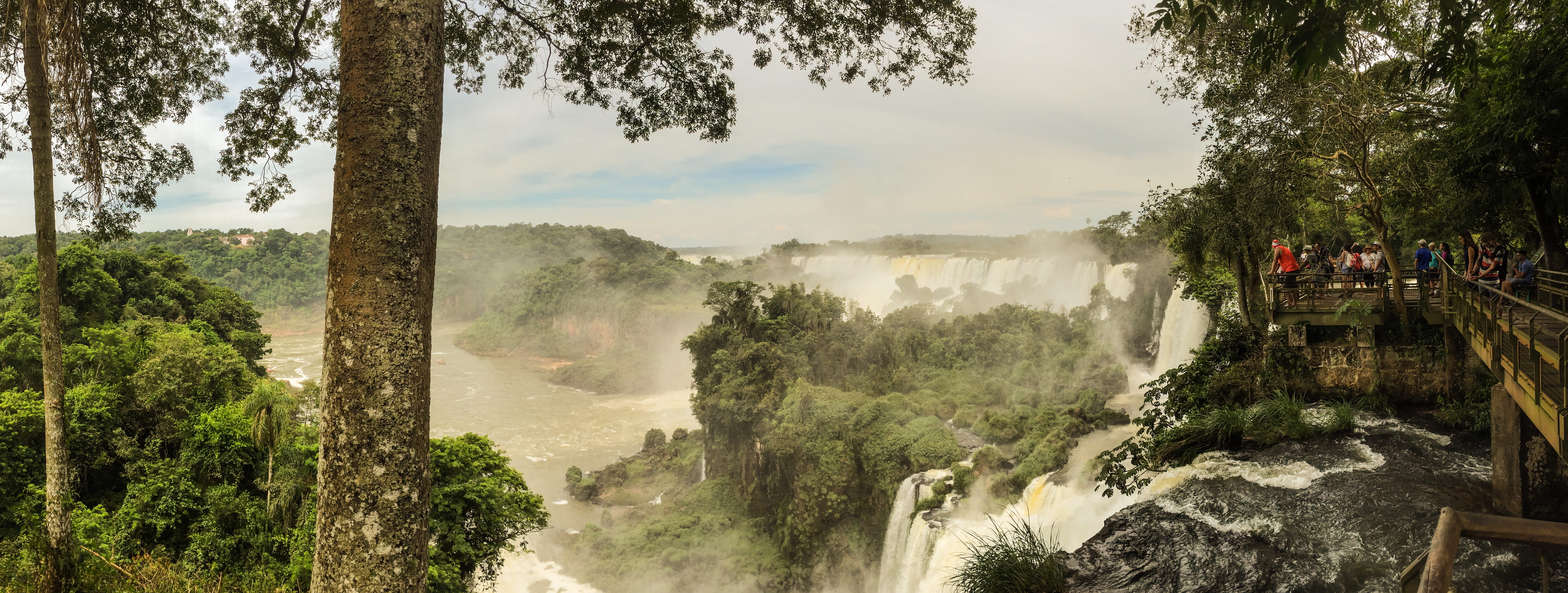 plant, iguazu falls, tree, day, forest, river, 5K, nature, travel, tranquility, landscape, flowing water, beauty in nature, land, scenics - nature, growth, HD Wallpaper