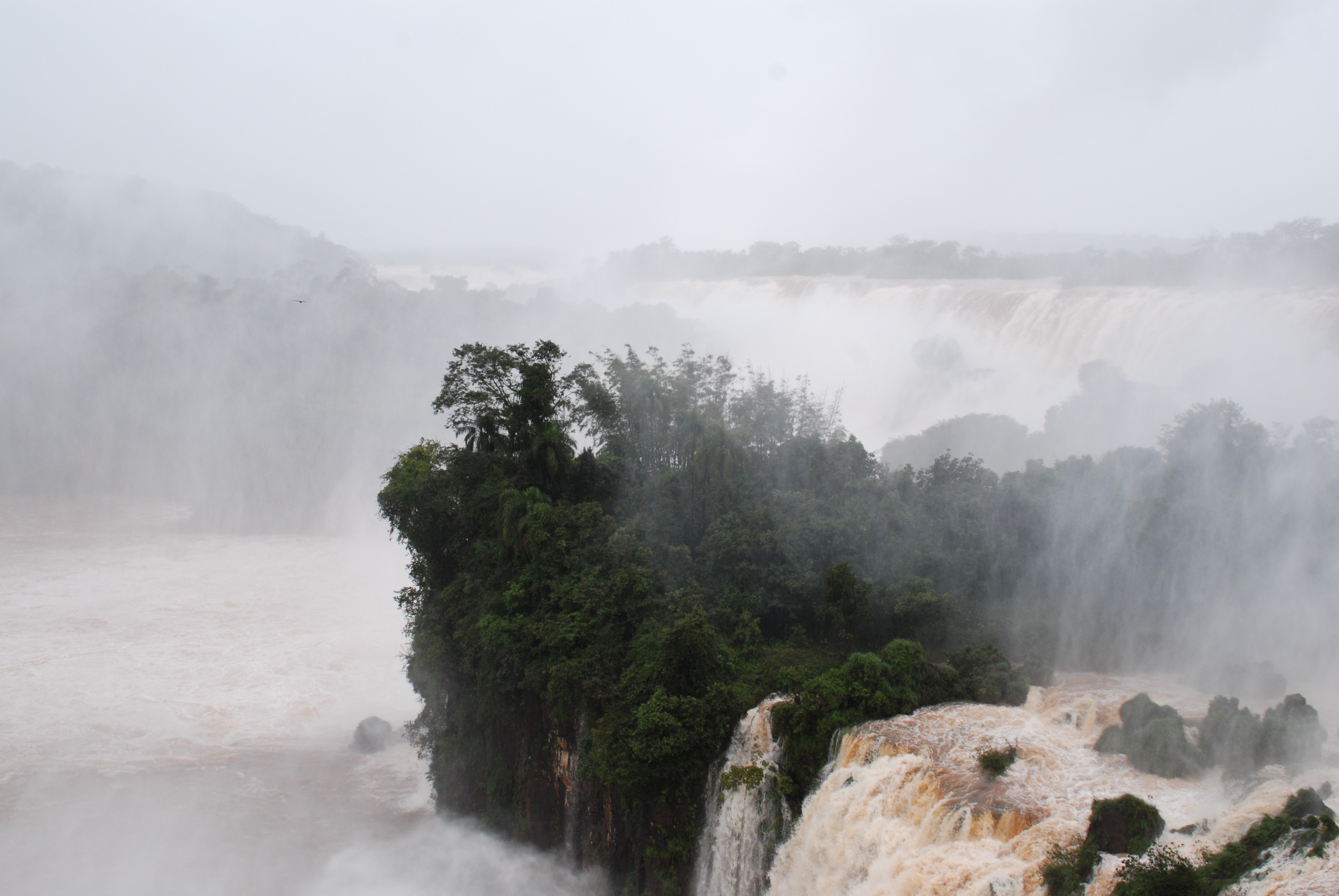 flowing, tree, plant, covered, fog, cascade, iguacu Falls, outdoors, argentina, no people, scenics, 4K, aerial, iguacu National Park, rock - object, waterfall, HD Wallpaper