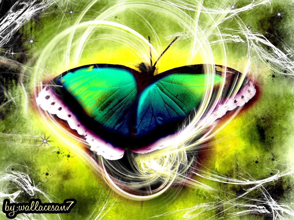 abstract, borboleta, 480P, paradise, hd, nature, HD Wallpaper