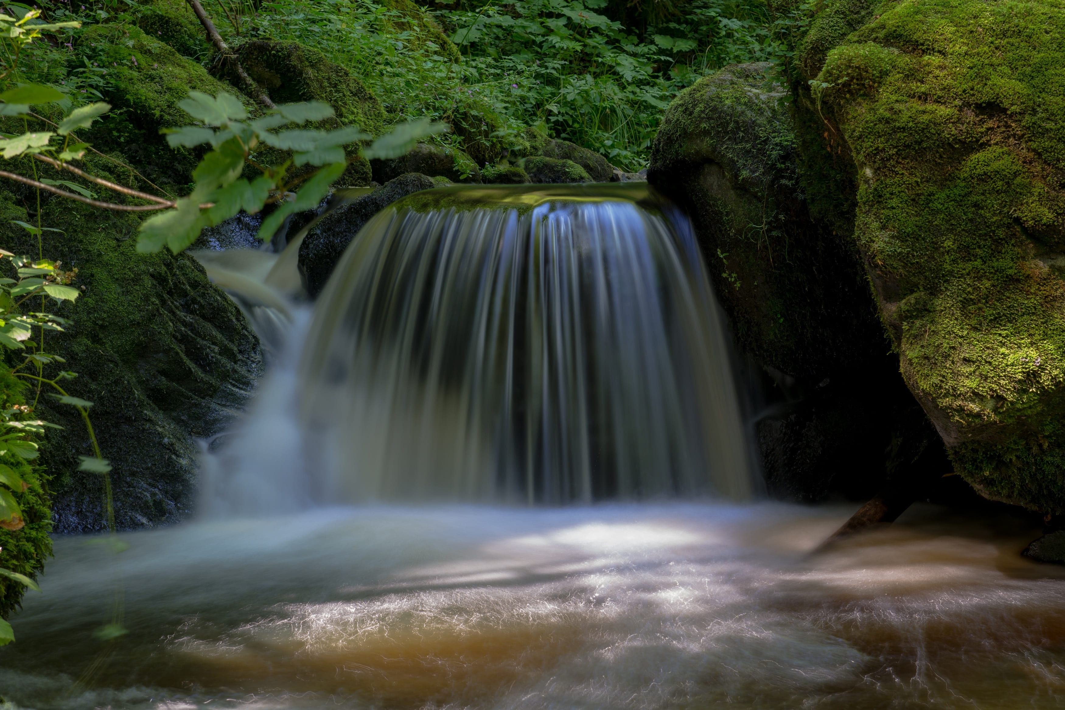 stream - flowing water, flow, mood, black forest, force of nature, rock - object, reflections, solid, bach, scenics - nature, tree, germany, moss, purity, HD Wallpaper