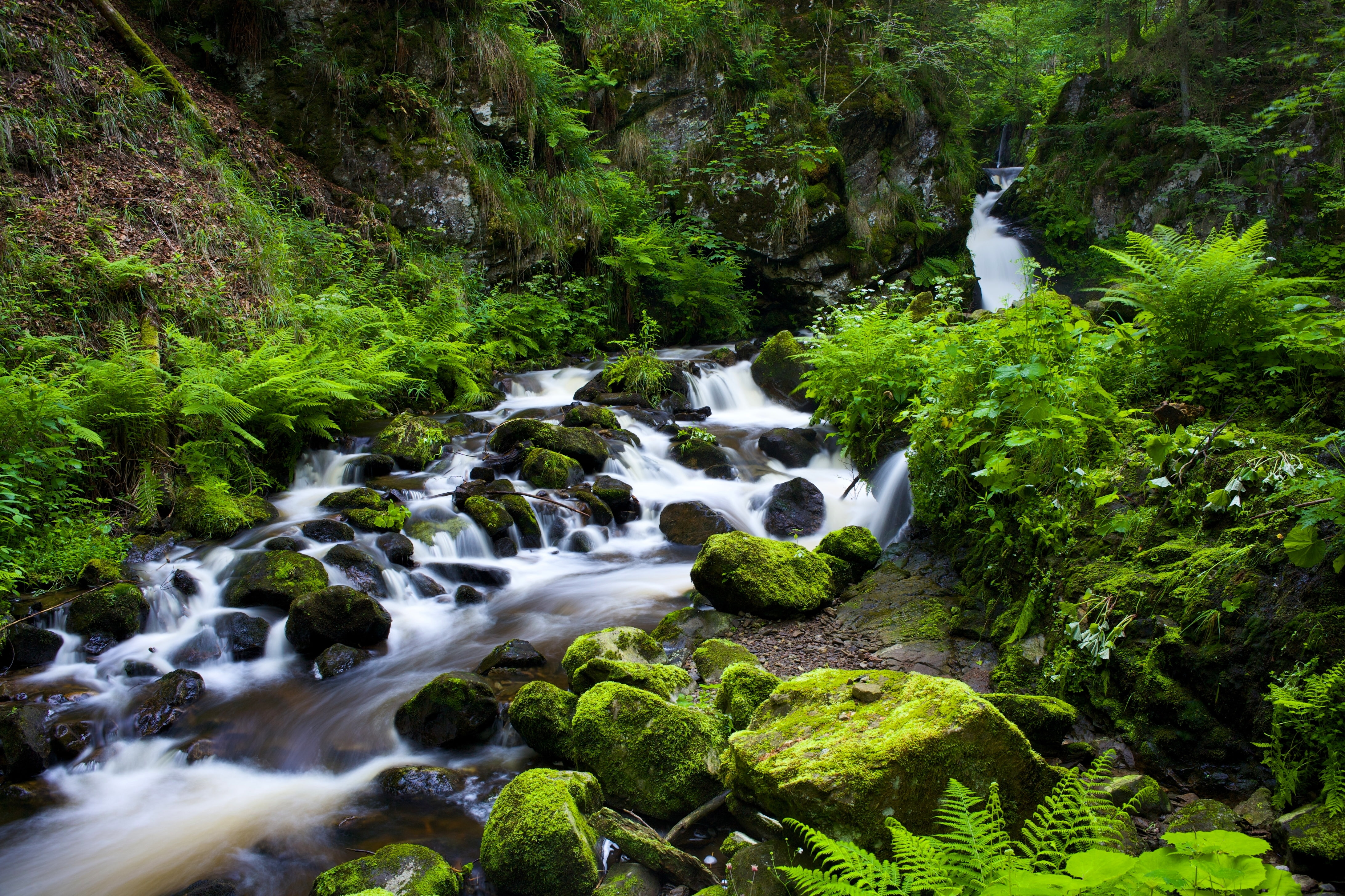 Germany, The black forest, vegetation, 4K, Ravenna gorge, gorge, Black Forest, stream, river, stones, HD Wallpaper