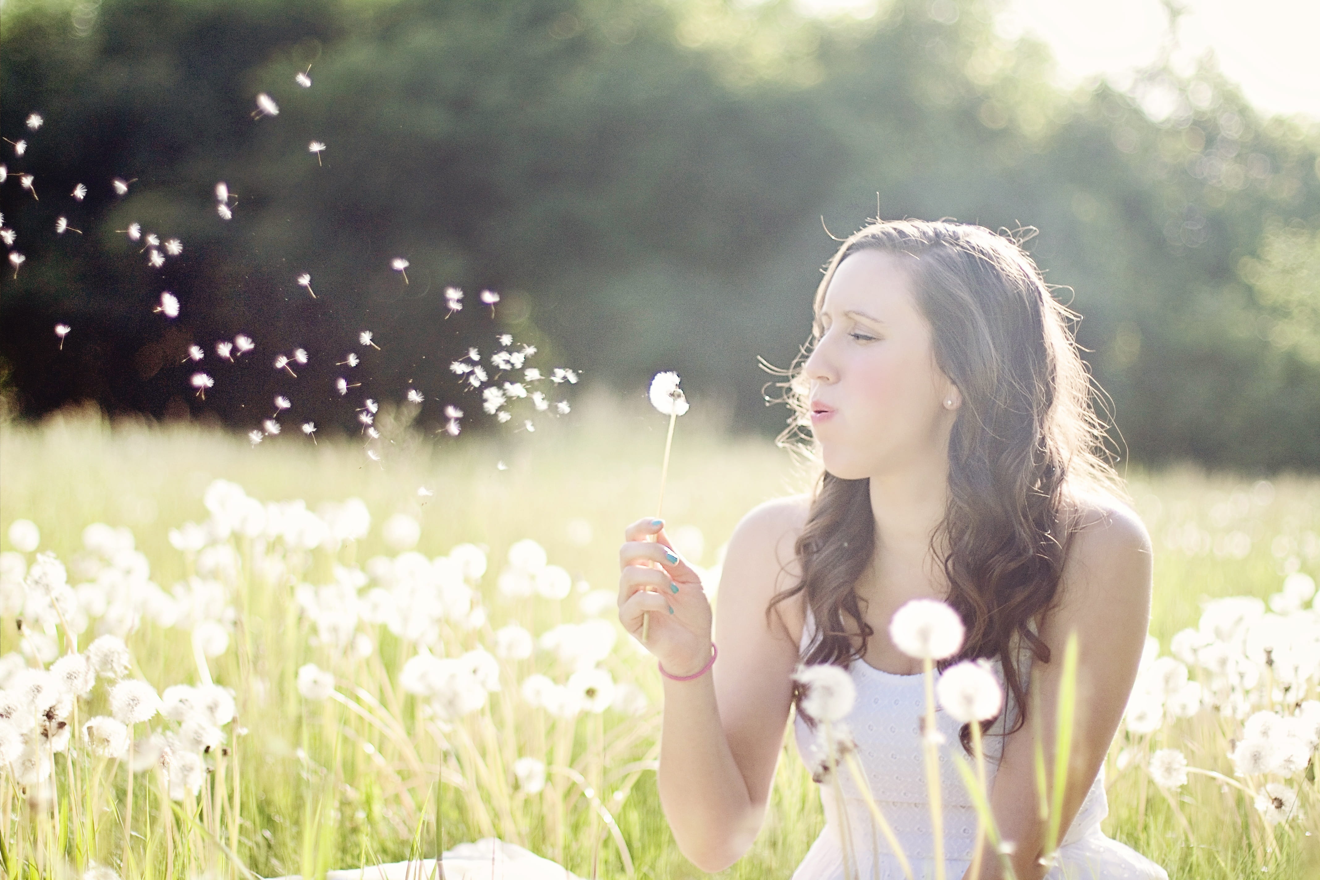long hair, beauty in nature, hairstyle, contemplation, woman, wearing, nature, flowering plant, adult, blowing, young, beautiful woman, wind, field, girl, HD Wallpaper