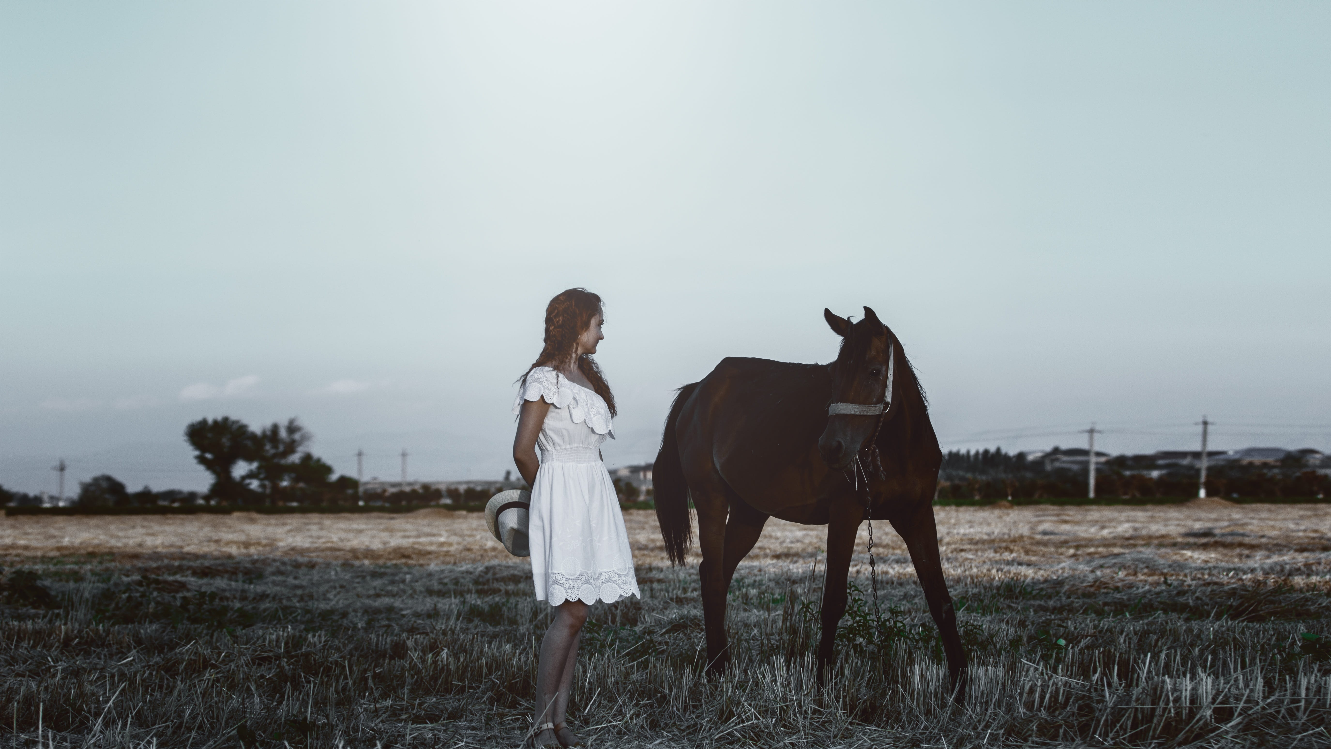 beautiful, daytime, animal wildlife, white dress, young woman, sky, 5K, domestic animals, livestock, grass, hairstyle, joy, ranch, female, nature, style, HD Wallpaper