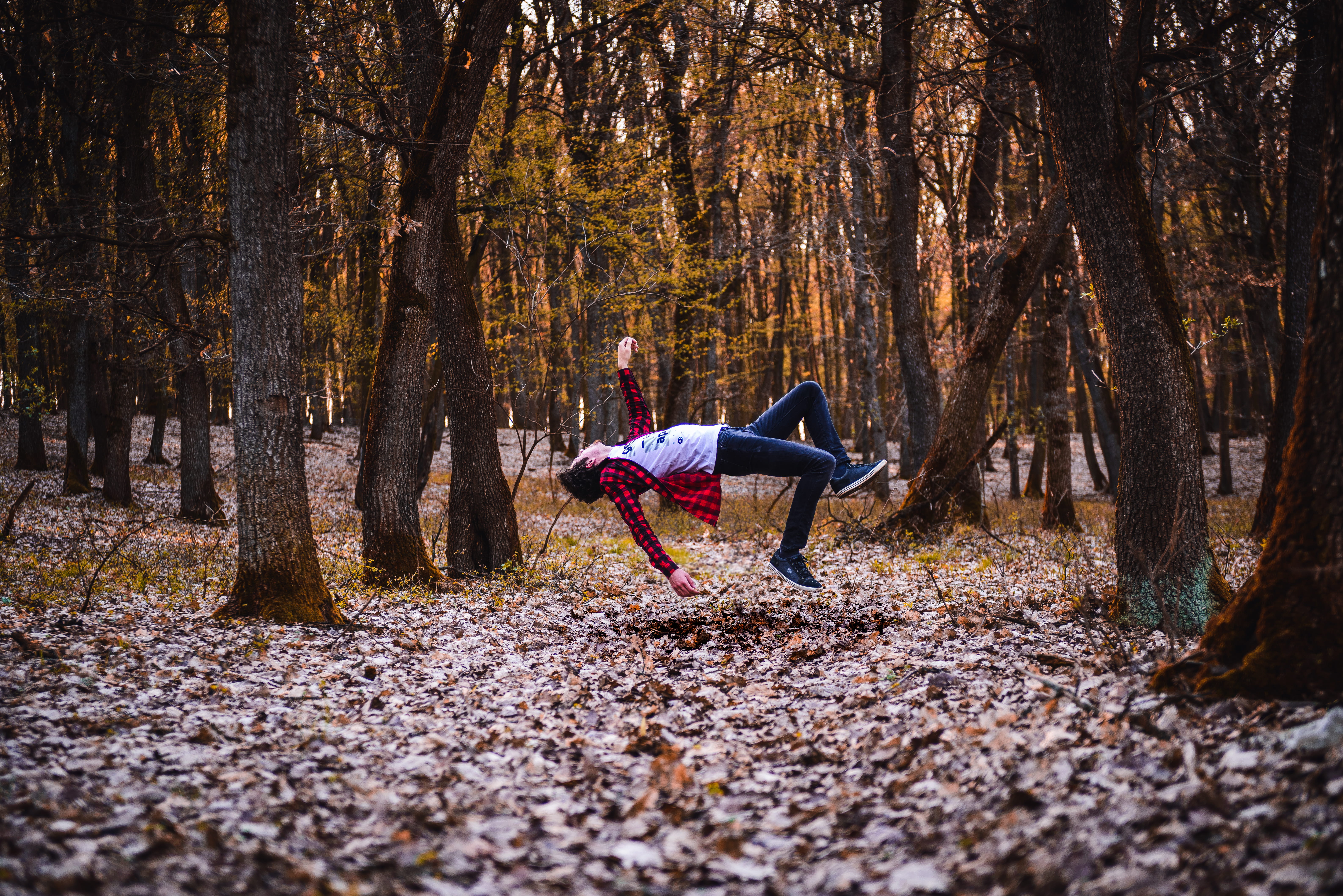 growth, levitate, nature, one person, trunk, autumn, colorful, forest, laying, leaf, 5K, floating, person, outdoors, trees, land, shirt, tree trunk, magic, HD Wallpaper