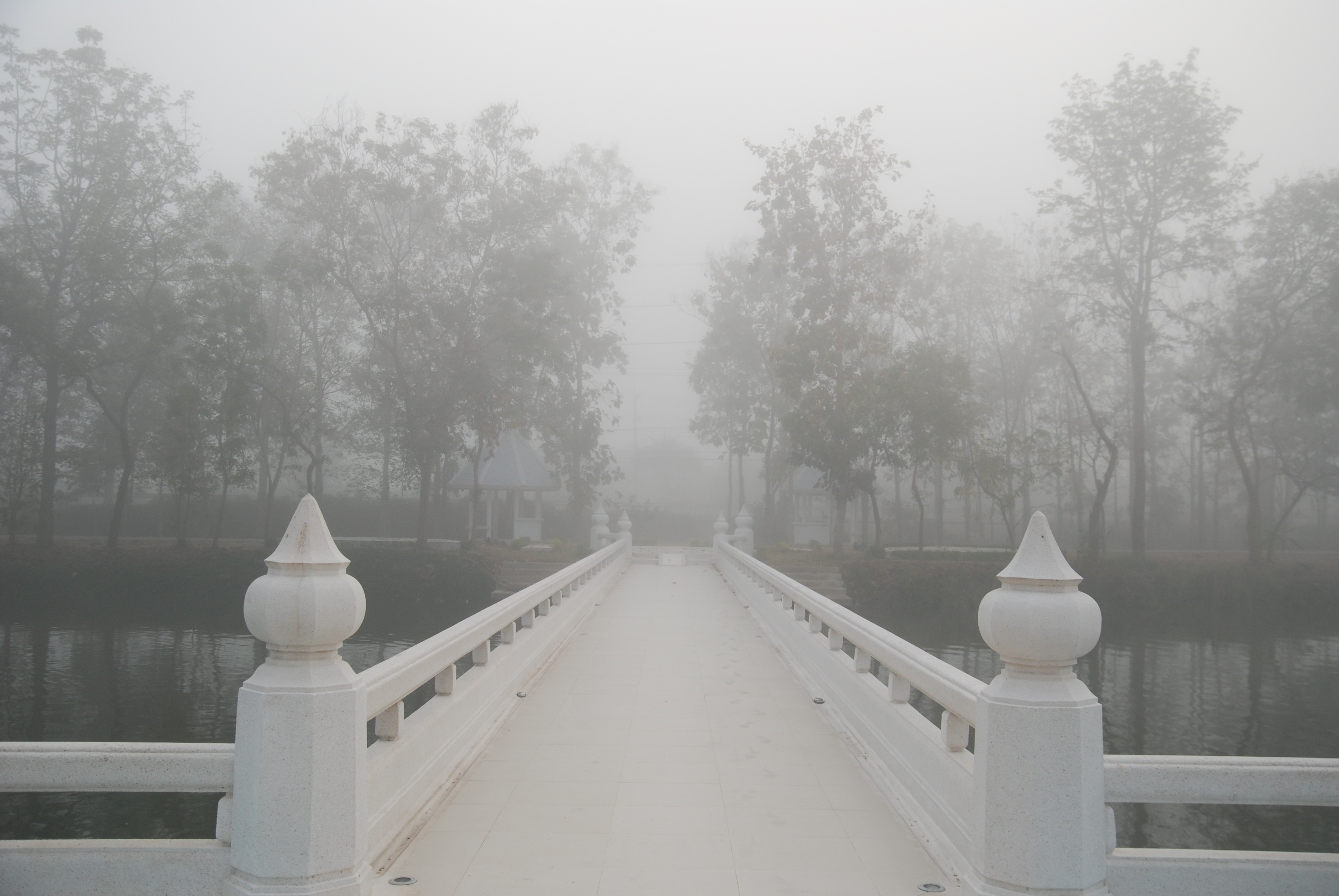 transportation, 4K, bridge, day, winter, white color, growth, peace, tranquility, plant, nature, inner, fog, meditation, lake, outdoors, cold temperature, HD Wallpaper