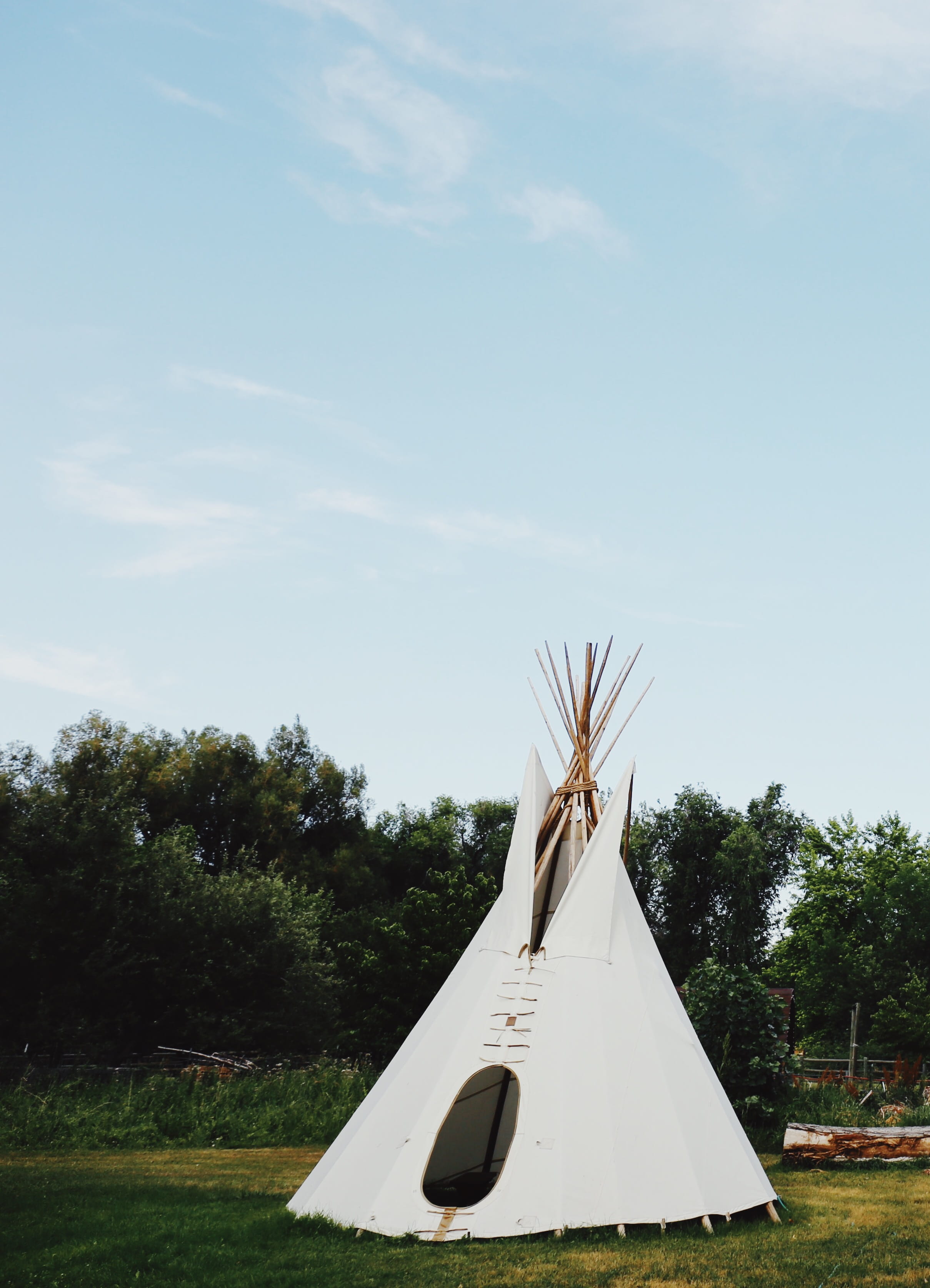 summer, nature, landscape, sunny, adventuring, 2K, land, day, front or back yard, grass, camp, Yurt, adventure, environment, explore, Colorado, tree, no people, Phone HD Wallpaper