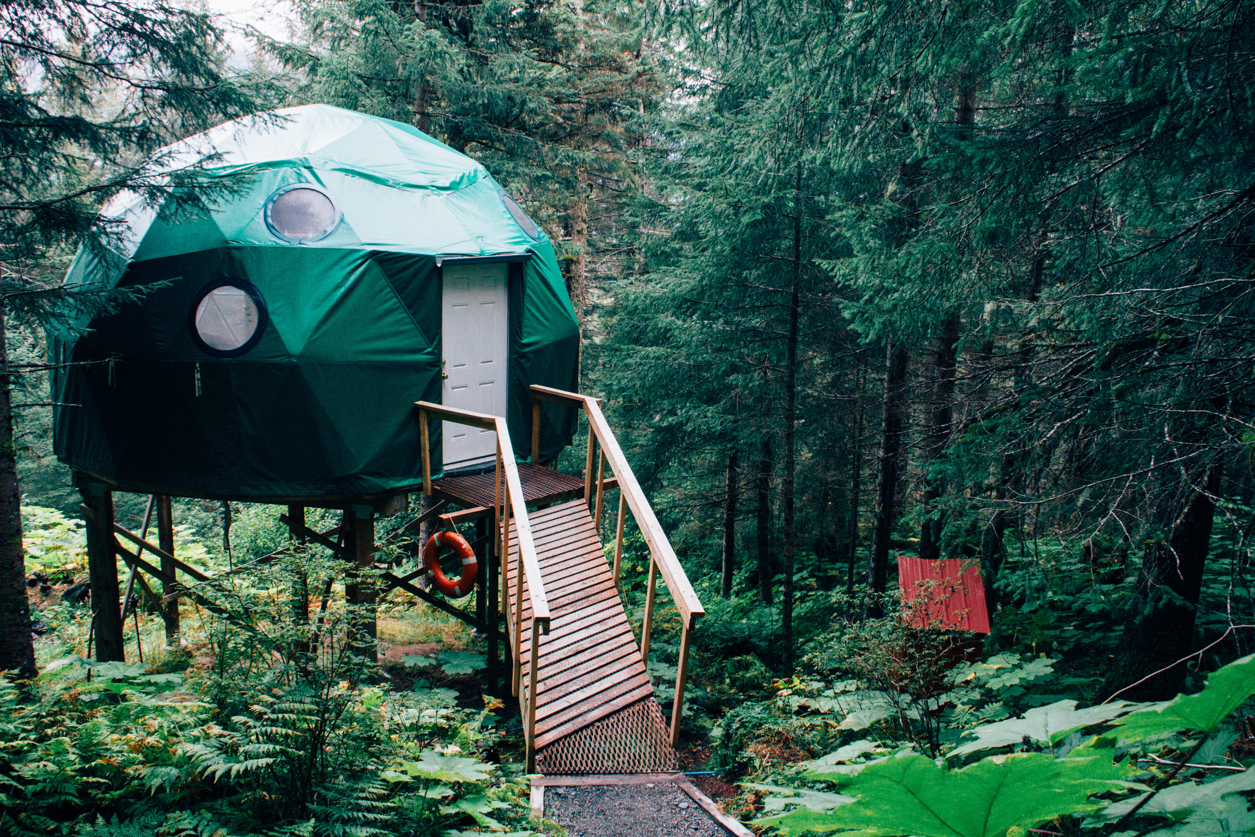 near, house, green, 5K, land, alone, wood - material, water, dock, bridge, yurt, railing, wood, architecture, solitude, growth, woodland, quiet, day, wooden, HD Wallpaper