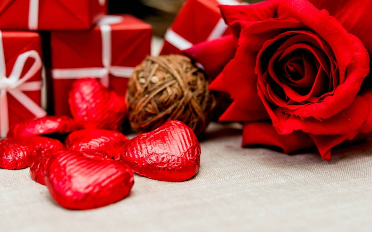 720P, selective focus, positive emotion, roses, no people, flower, petal, flower head, nature, plant, bouquet, sweet, freshness, red, indoors, valentines day - holiday, HD Wallpaper