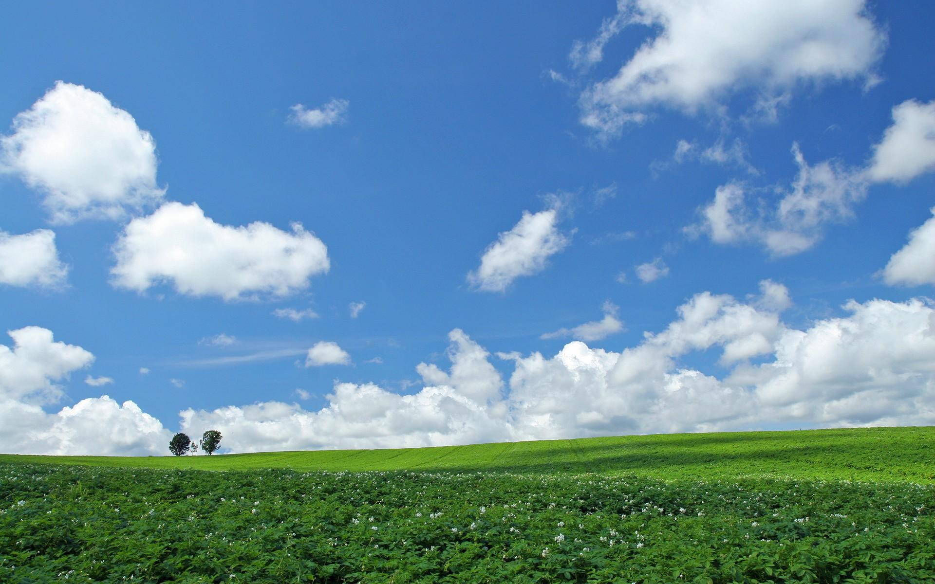 landscape, hokkaido, field, 1080P, 3d and abstract, lscape, grass, hq, green, HD Wallpaper