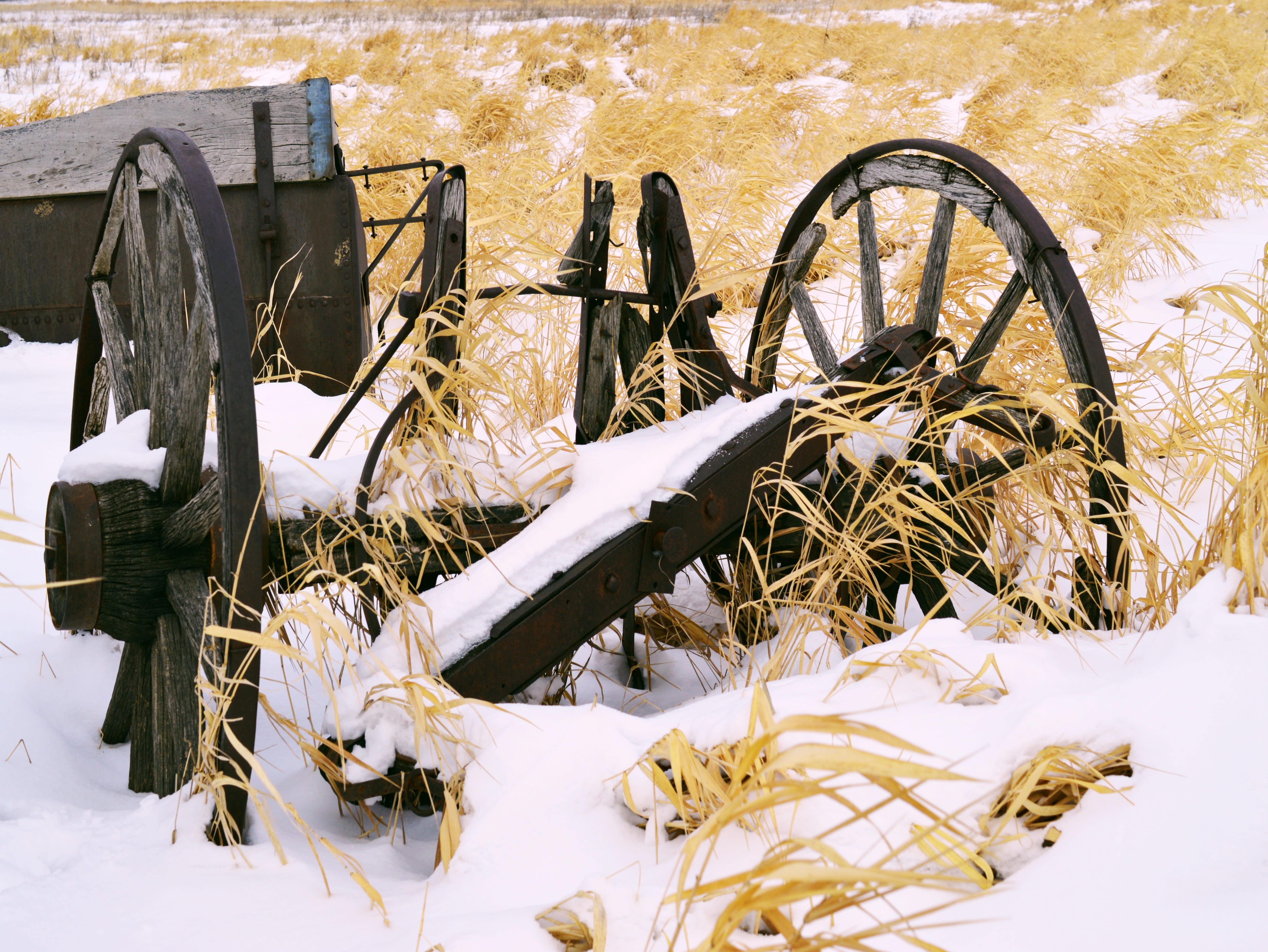 cold temperature, broken, agriculture, snow, deterioration, no people, ruined, wood, obsolete, rust, vintage, Farm, day, wooden, plant, run-down, white color, HD Wallpaper