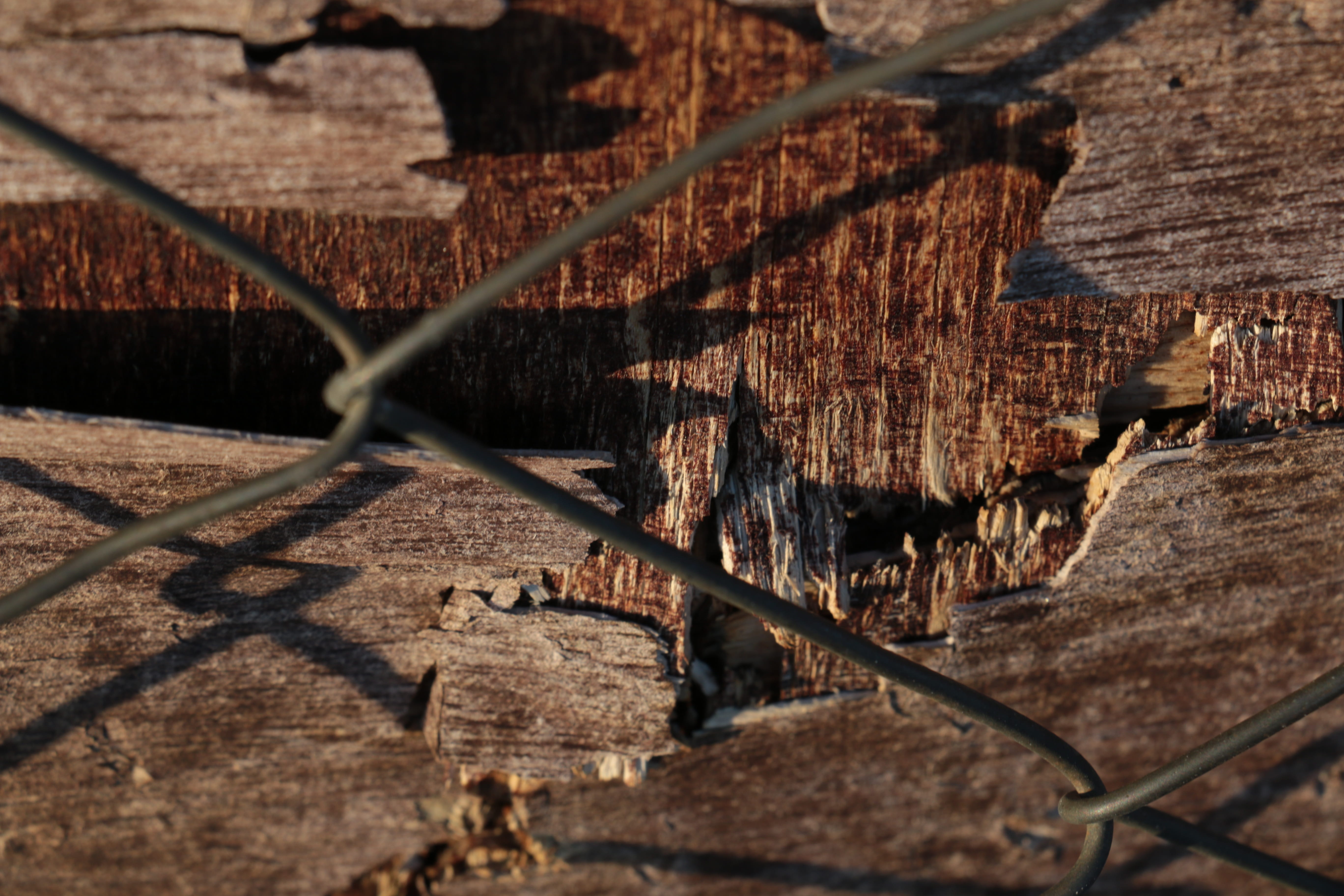 wood, frost, snow, industry, boat, textured, tree log, transportation system, day, stone, river, watercraft, nature, dry, frozen, old, tree, winter, close-up, HD Wallpaper