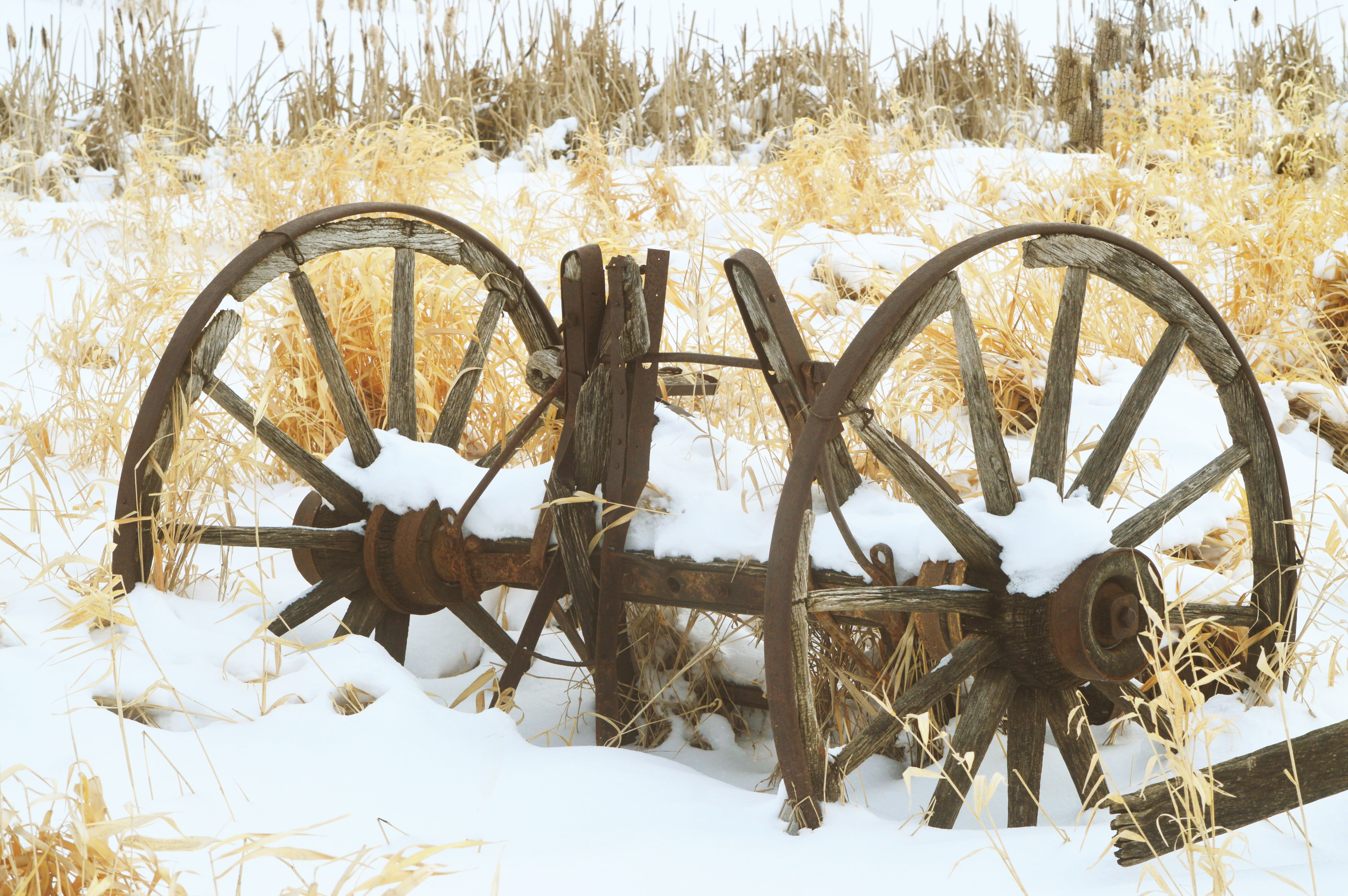 sunlight, wagon wheels, old-fashioned, wagon Wheel, carriage, no people, agriculture, field, snow, rural, transportation, wheel, history, farm, land, horse Cart, HD Wallpaper