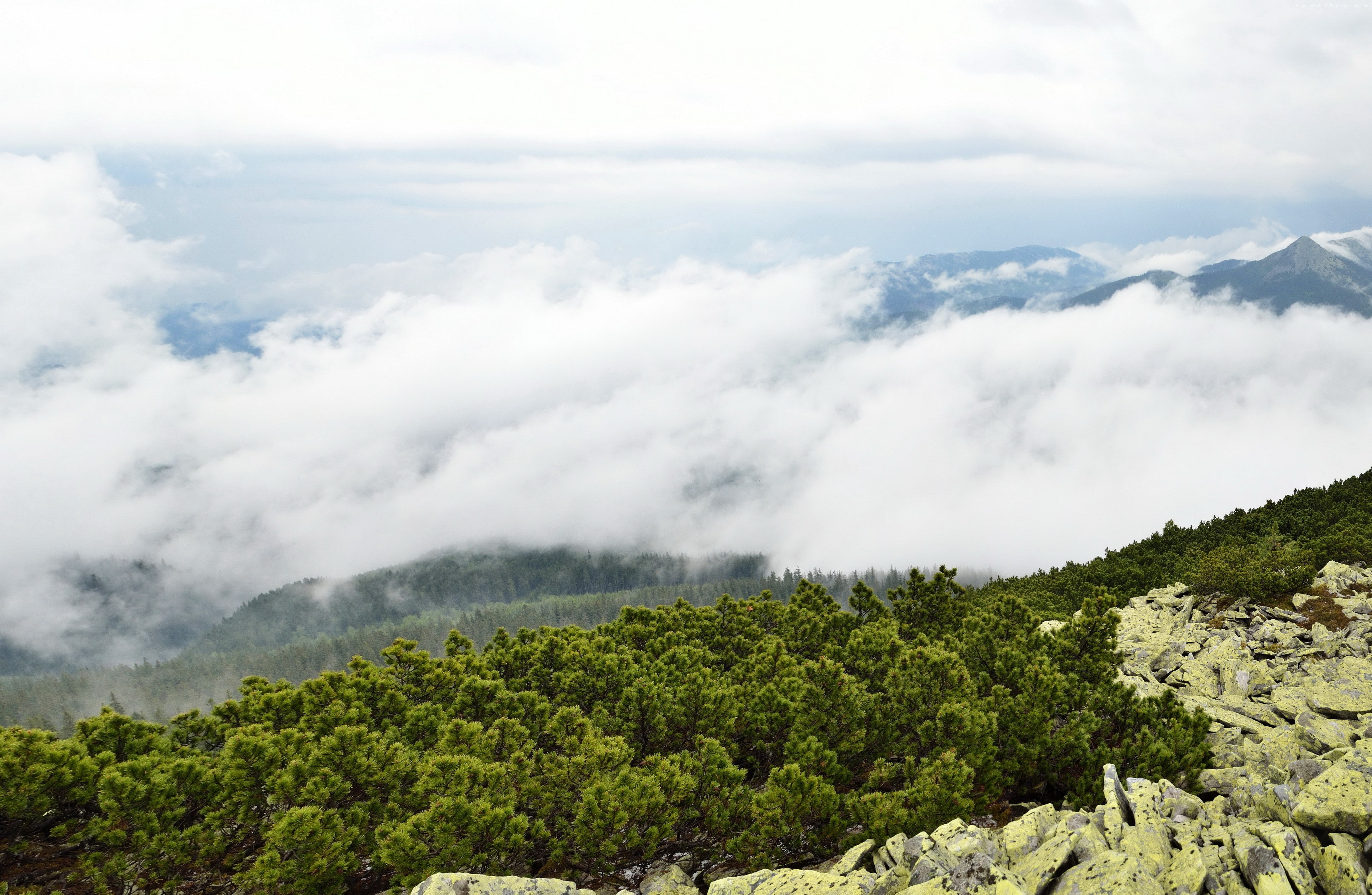 4K, clouds, rocks, 5k, 4k, bushes, Ukraine, mountains, Transcarpathia, HD Wallpaper