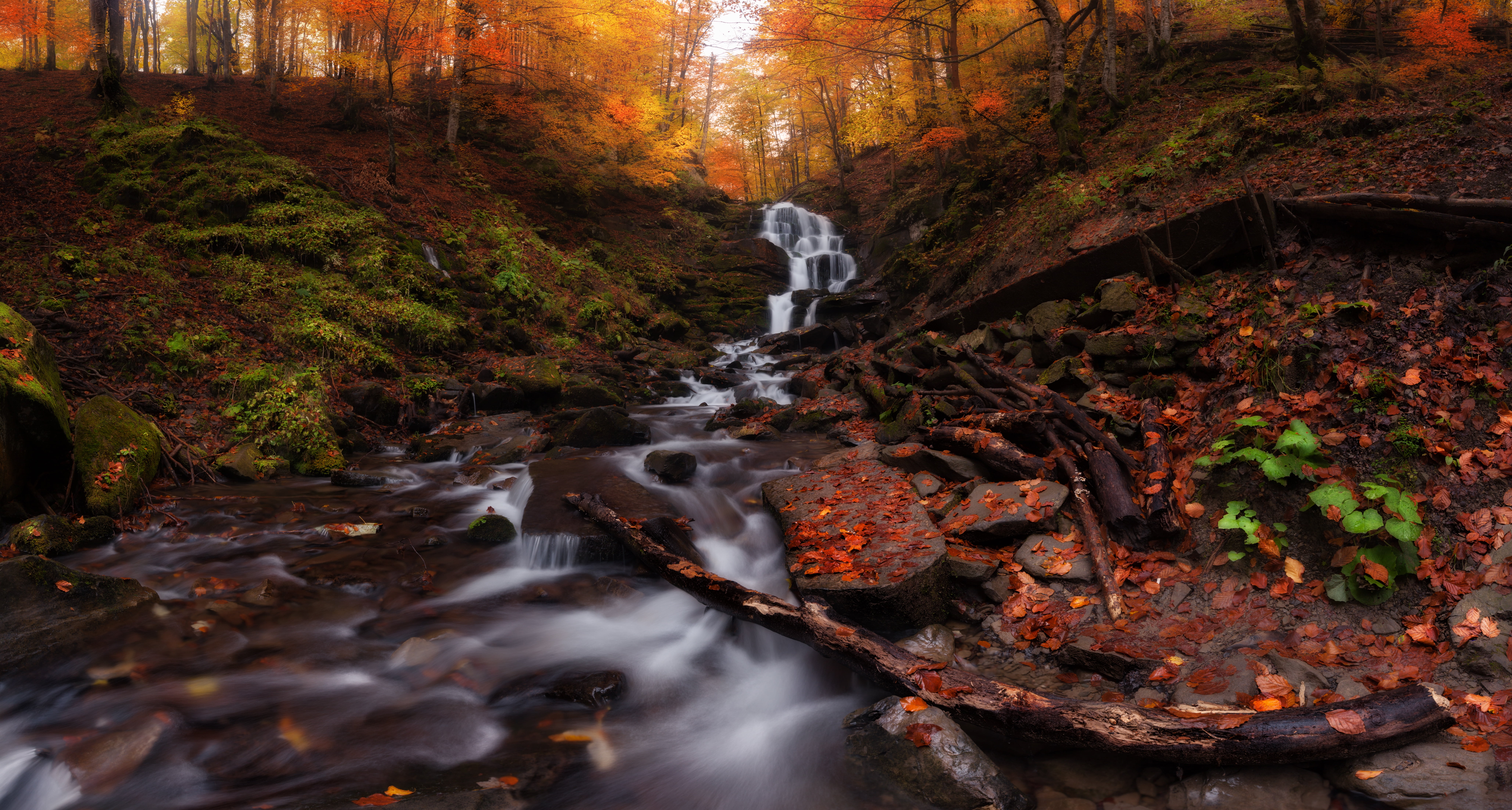 Ukraine, 8K, leaves, autumn, Transcarpathia, Carpathians, mountain Shypit waterfall, trees, HD Wallpaper