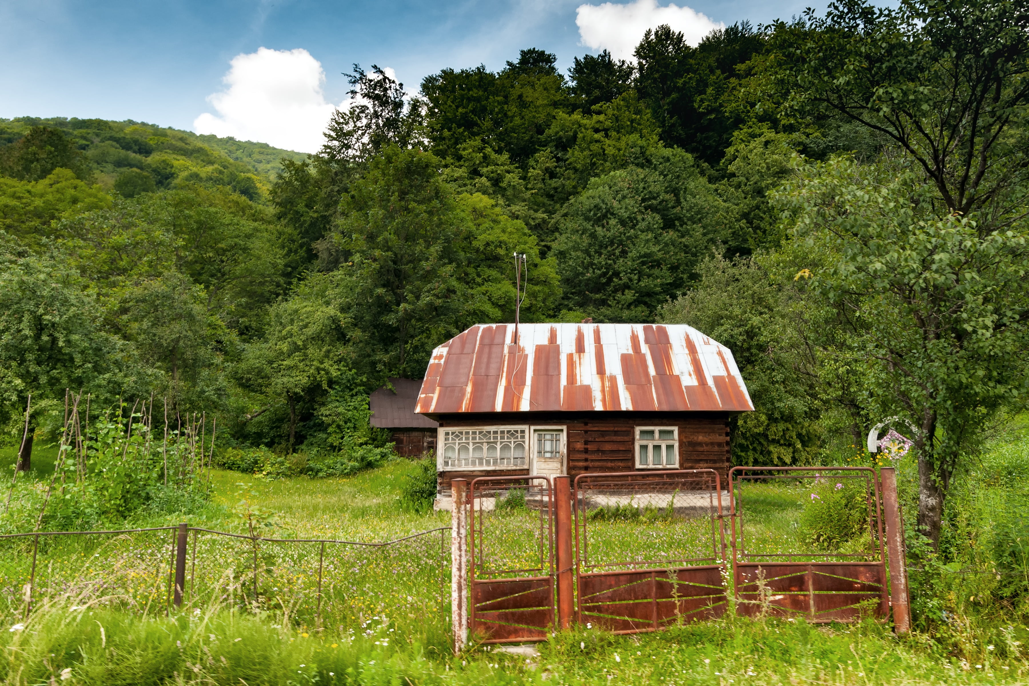 old, beauty in nature, sky, growth, open air museum, kolochava, forest, landscape, day, tree, landscapes, tranquility, building exterior, farm, transcarpathia, HD Wallpaper
