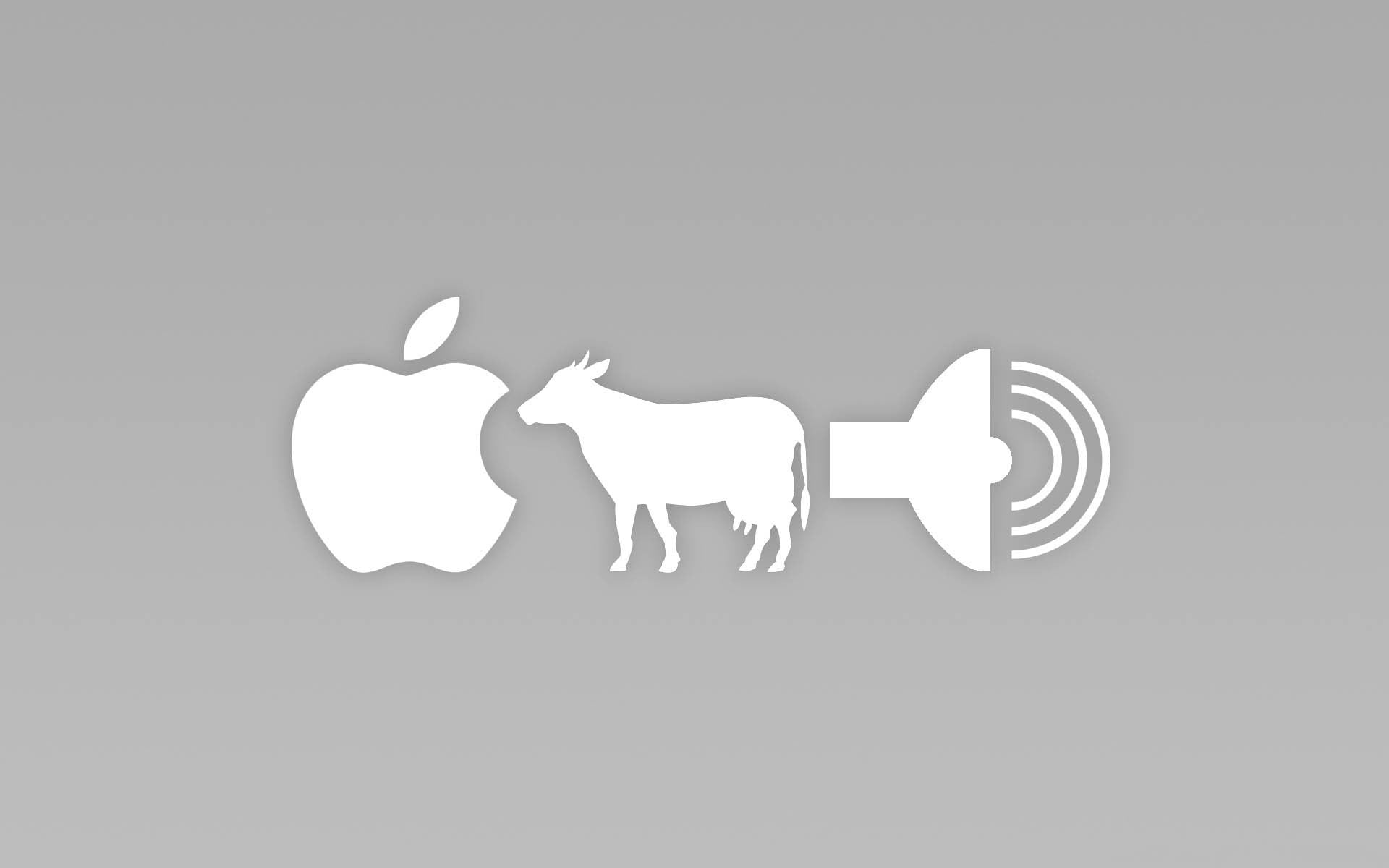 studio shot, white color, animal wildlife, representation, Apple Inc., white, design, cow, wooden, shape, domestic animals, gray, 1080P, no people, minimalism, HD Wallpaper