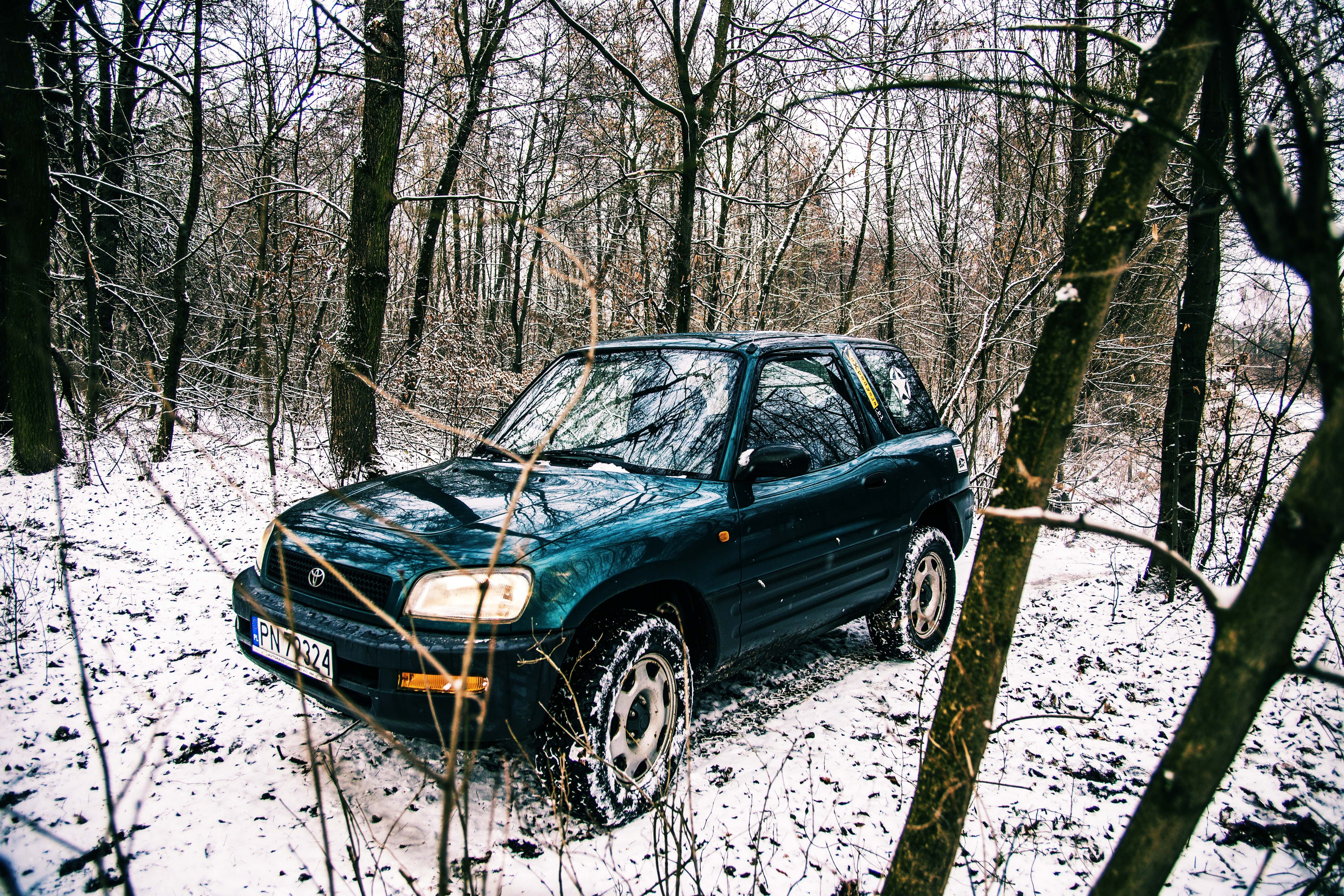 toyota, woodland, dirty, the vehicle, cold, offroad, fun, tyres, plant, tree trunk, wheels, tree, motor vehicle, cold temperature, automotive, field, mode of transportation, HD Wallpaper