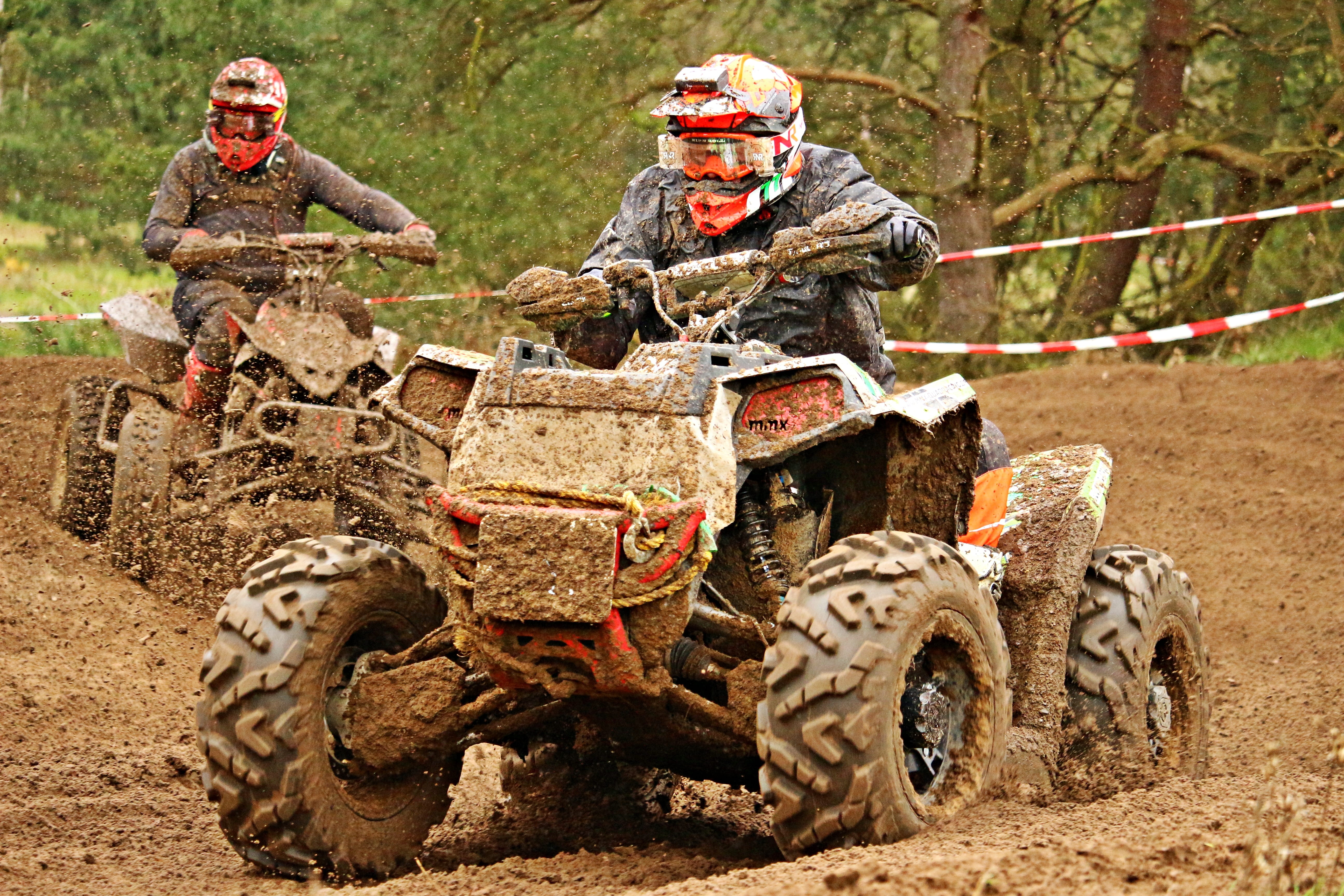 tree, people, transportation, mode of transportation, enduro, adults only, motorcycle sport, motorsport, males, racing, terrain, Motocross, looking at camera, HD Wallpaper