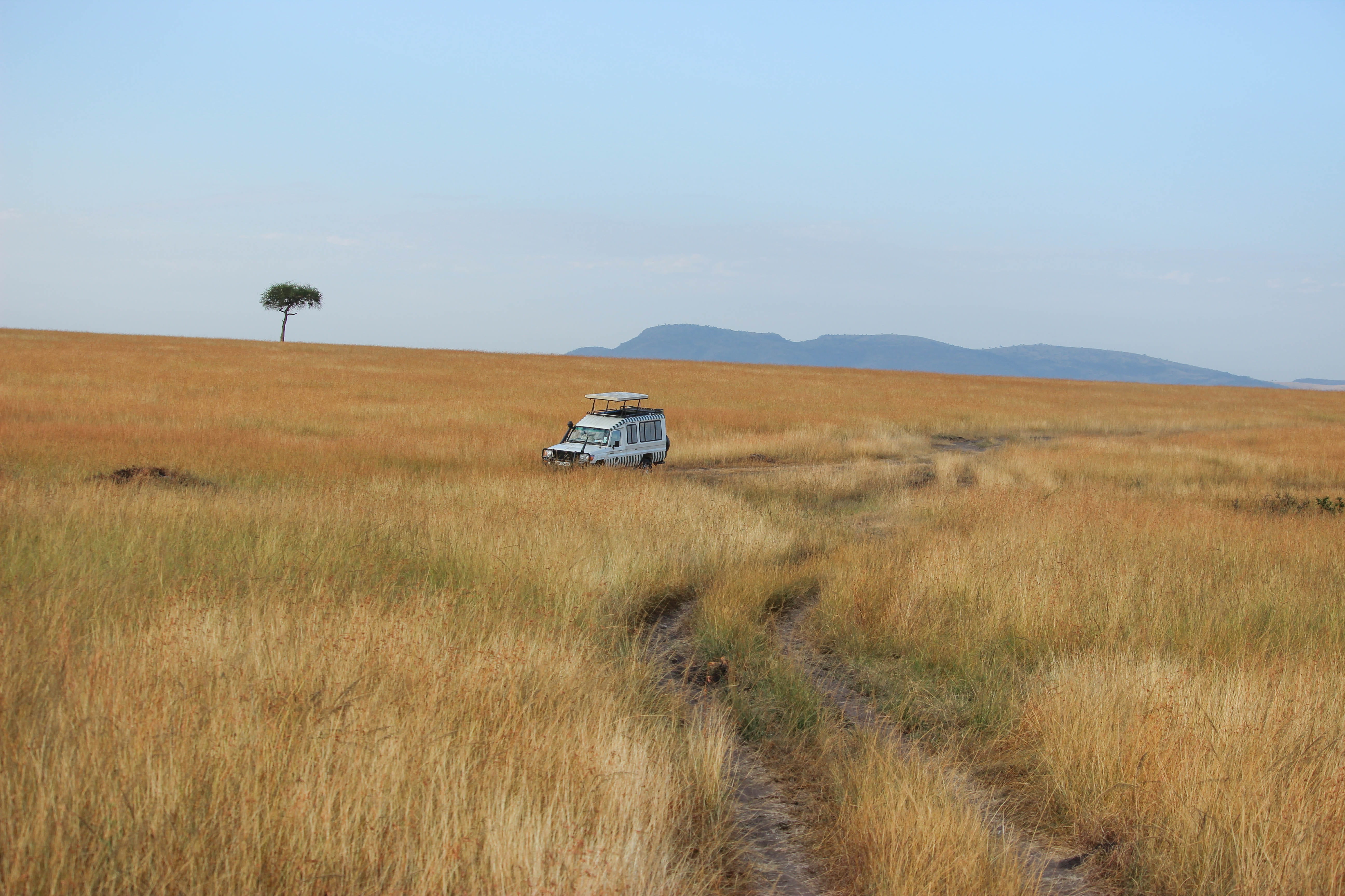 wilderness, kenya, 5K, tranquil scene, plant, car, environment, trail, field, non-urban scene, tree, no people, climate, africa, mountain, land vehicle, HD Wallpaper