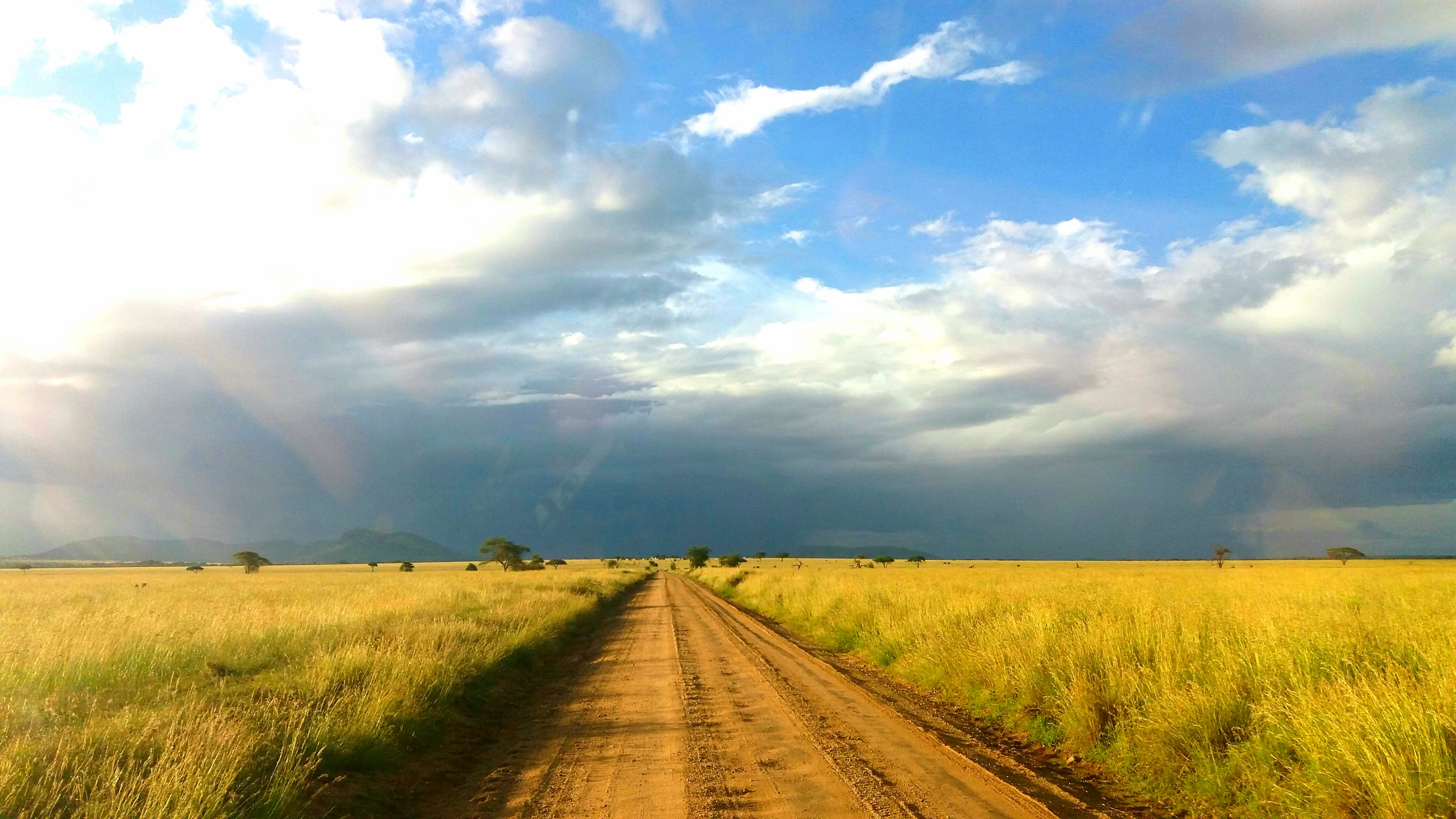 4K, environment, Africa Tour, no people, Savannah, diminishing perspective, vanishing point, nature, beauty in nature, Open Road, scenics - nature, outdoors, HD Wallpaper